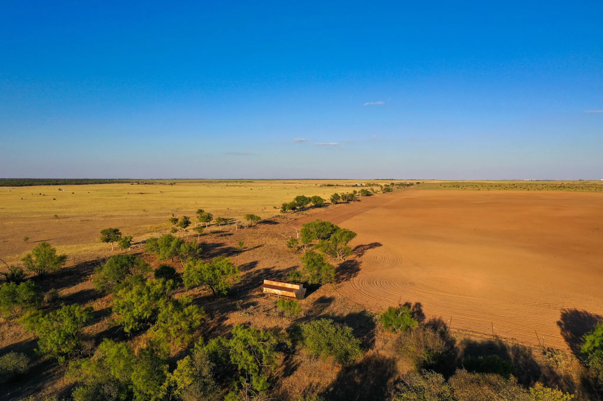 Ranch For Sale in Haskell County , TBD FM 2279, Rochester, Texas 79544, 0, 0, Garage spaces, 0 Sqft, built in 0, mls#21404706, Real Estate Agent in Rochester, Homes For Sale in Haskell county, Homes For Sale in Rochester, Realtor in Rochester Texas, Real Estate Brokerage Independent Realty Texas, Luminita Cordes Realtor