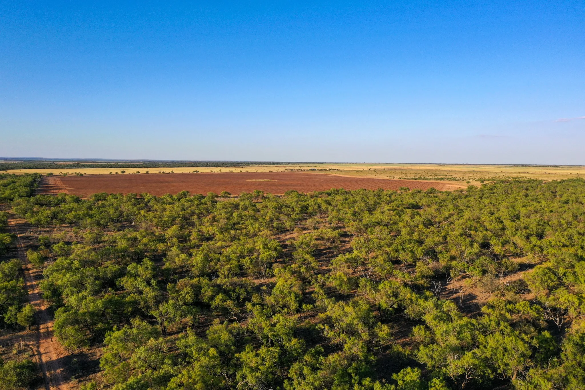 Ranch For Sale in Haskell County , TBD FM 2279, Rochester, Texas 79544, 0, 0, Garage spaces, 0 Sqft, built in 0, mls#21404706, Real Estate Agent in Rochester, Homes For Sale in Haskell county, Homes For Sale in Rochester, Realtor in Rochester Texas, Real Estate Brokerage Independent Realty Texas, Luminita Cordes Realtor