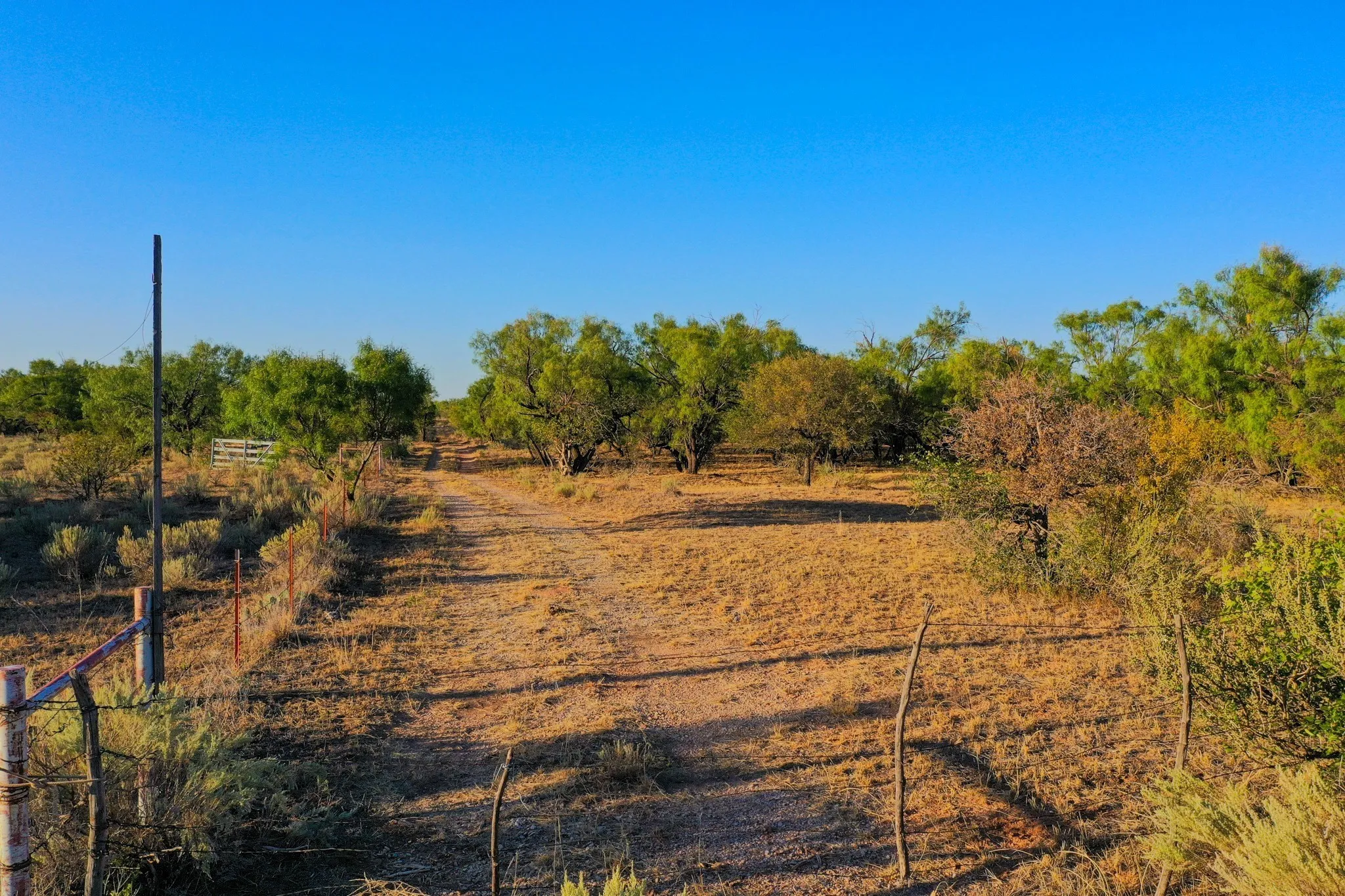Ranch For Sale in Haskell County , TBD FM 2279, Rochester, Texas 79544, 0, 0, Garage spaces, 0 Sqft, built in 0, mls#21404706, Real Estate Agent in Rochester, Homes For Sale in Haskell county, Homes For Sale in Rochester, Realtor in Rochester Texas, Real Estate Brokerage Independent Realty Texas, Luminita Cordes Realtor