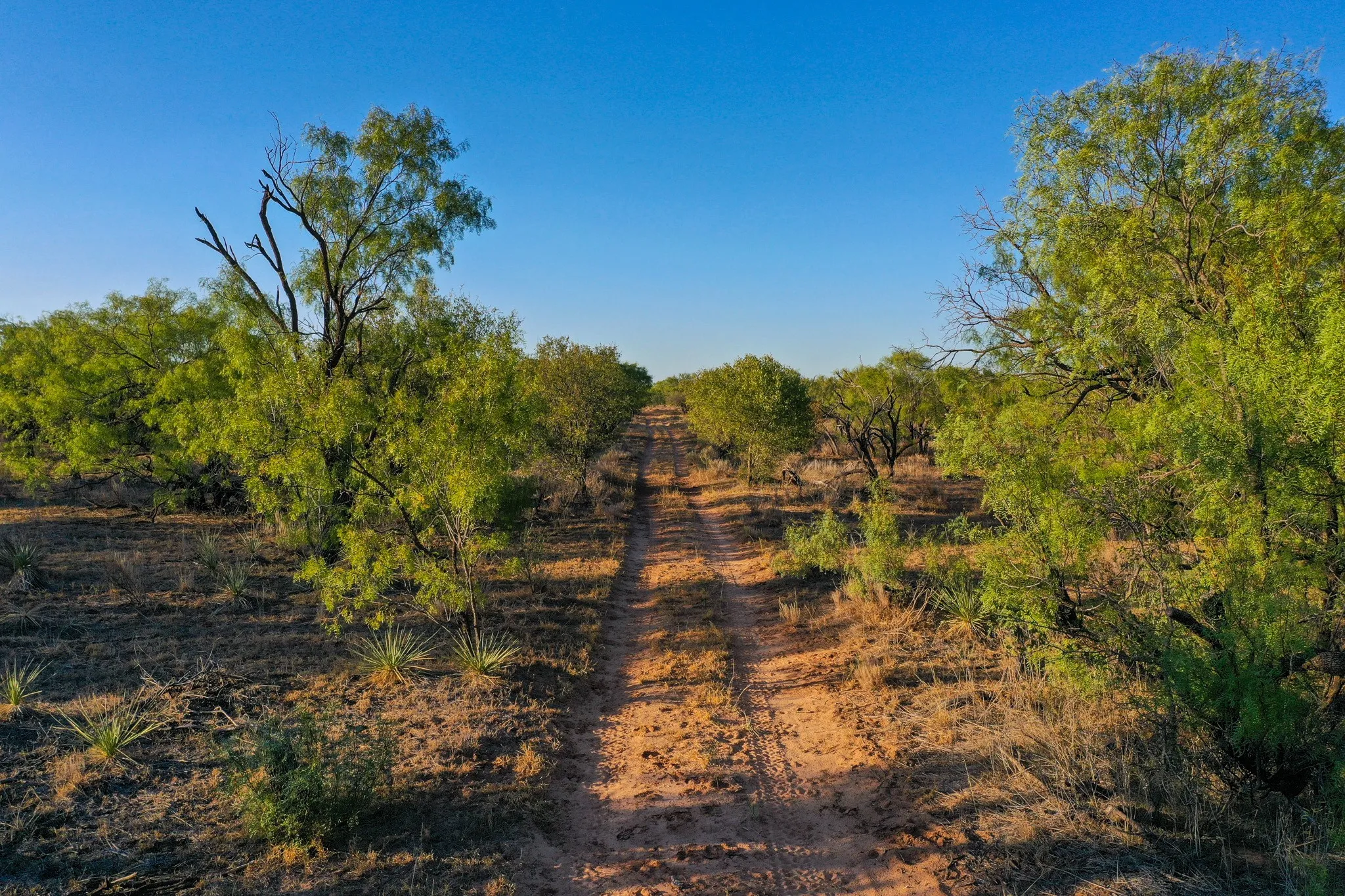 Ranch For Sale in Haskell County , TBD FM 2279, Rochester, Texas 79544, 0, 0, Garage spaces, 0 Sqft, built in 0, mls#21404706, Real Estate Agent in Rochester, Homes For Sale in Haskell county, Homes For Sale in Rochester, Realtor in Rochester Texas, Real Estate Brokerage Independent Realty Texas, Luminita Cordes Realtor