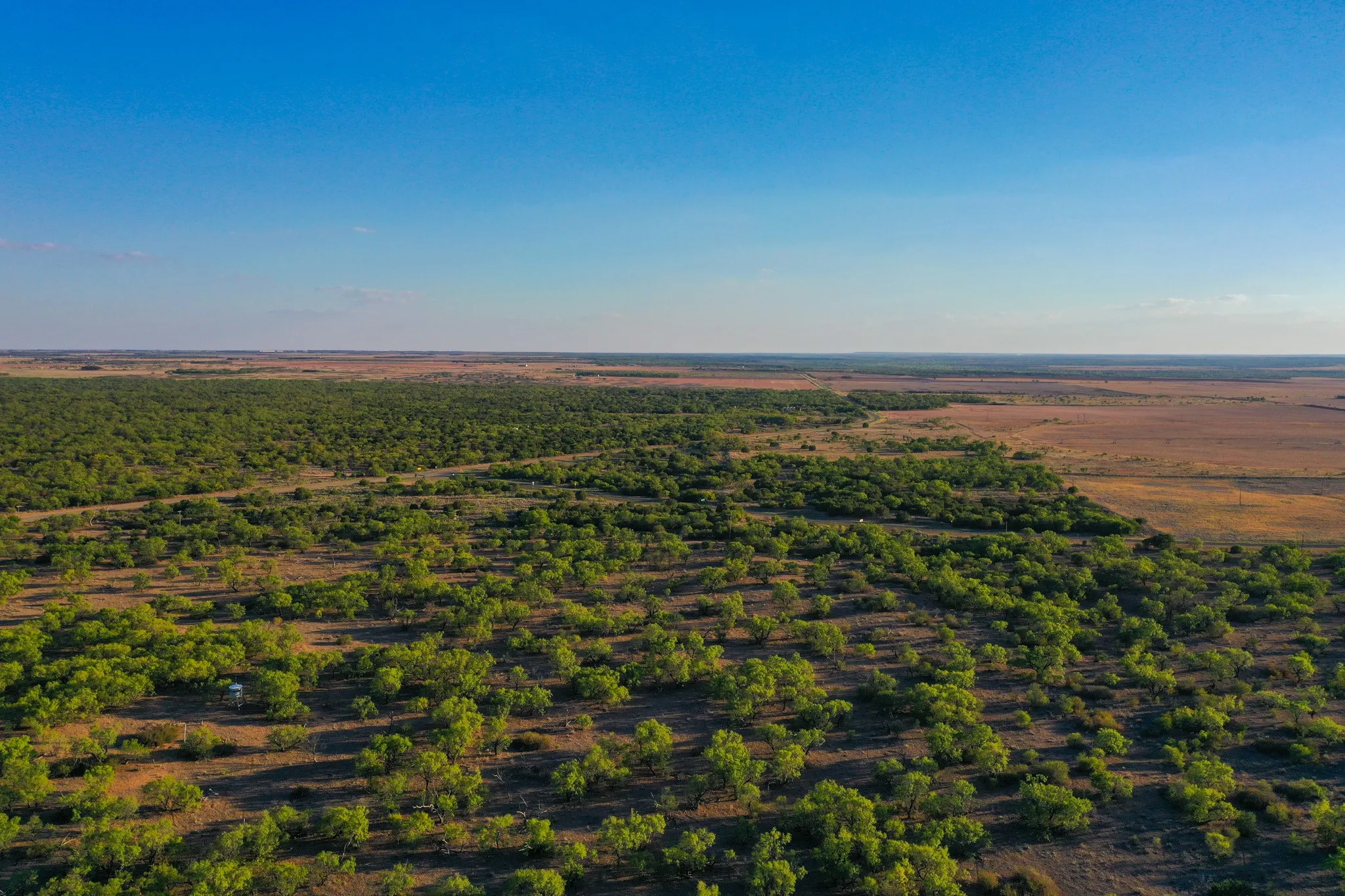 Ranch For Sale in Haskell County , TBD FM 2279, Rochester, Texas 79544, 0, 0, Garage spaces, 0 Sqft, built in 0, mls#21404706, Real Estate Agent in Rochester, Homes For Sale in Haskell county, Homes For Sale in Rochester, Realtor in Rochester Texas, Real Estate Brokerage Independent Realty Texas, Luminita Cordes Realtor