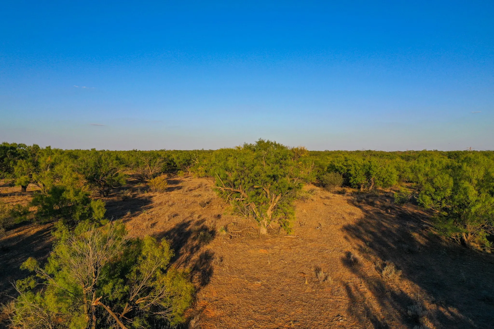 Ranch For Sale in Haskell County , TBD FM 2279, Rochester, Texas 79544, 0, 0, Garage spaces, 0 Sqft, built in 0, mls#21404706, Real Estate Agent in Rochester, Homes For Sale in Haskell county, Homes For Sale in Rochester, Realtor in Rochester Texas, Real Estate Brokerage Independent Realty Texas, Luminita Cordes Realtor