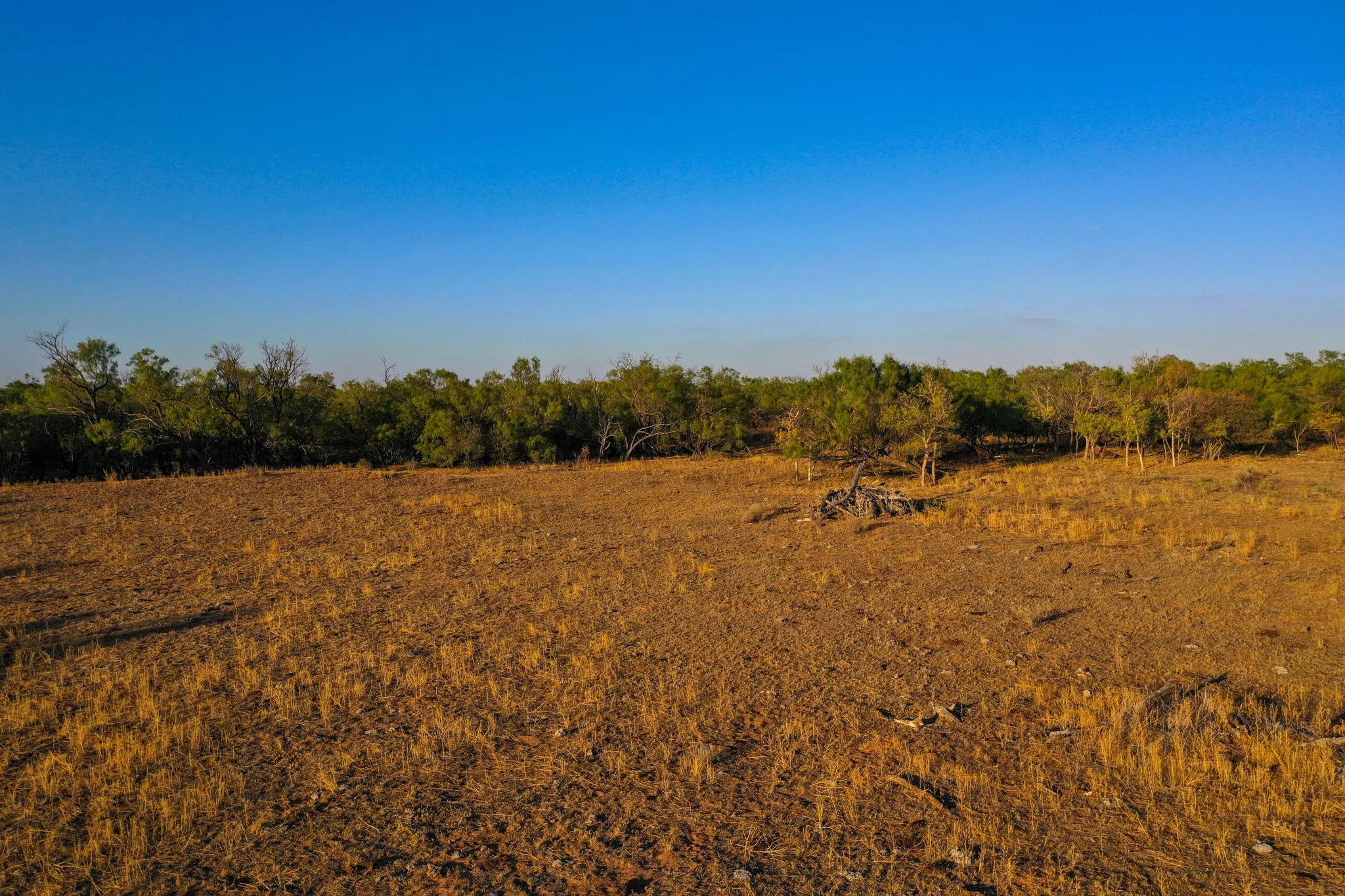 Ranch For Sale in Haskell County , TBD FM 2279, Rochester, Texas 79544, 0, 0, Garage spaces, 0 Sqft, built in 0, mls#21404706, Real Estate Agent in Rochester, Homes For Sale in Haskell county, Homes For Sale in Rochester, Realtor in Rochester Texas, Real Estate Brokerage Independent Realty Texas, Luminita Cordes Realtor