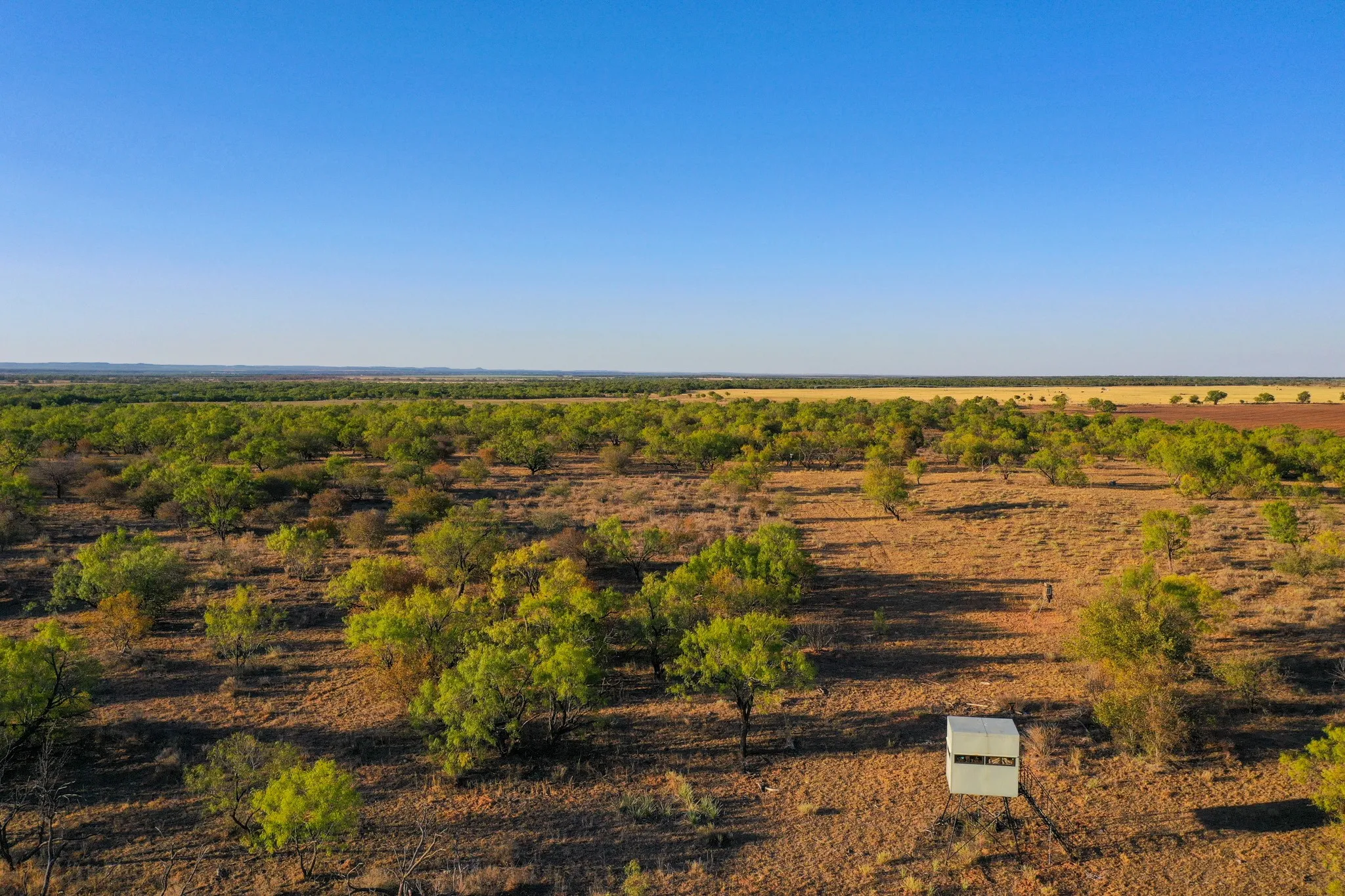 Ranch For Sale in Haskell County , TBD FM 2279, Rochester, Texas 79544, 0, 0, Garage spaces, 0 Sqft, built in 0, mls#21404706, Real Estate Agent in Rochester, Homes For Sale in Haskell county, Homes For Sale in Rochester, Realtor in Rochester Texas, Real Estate Brokerage Independent Realty Texas, Luminita Cordes Realtor