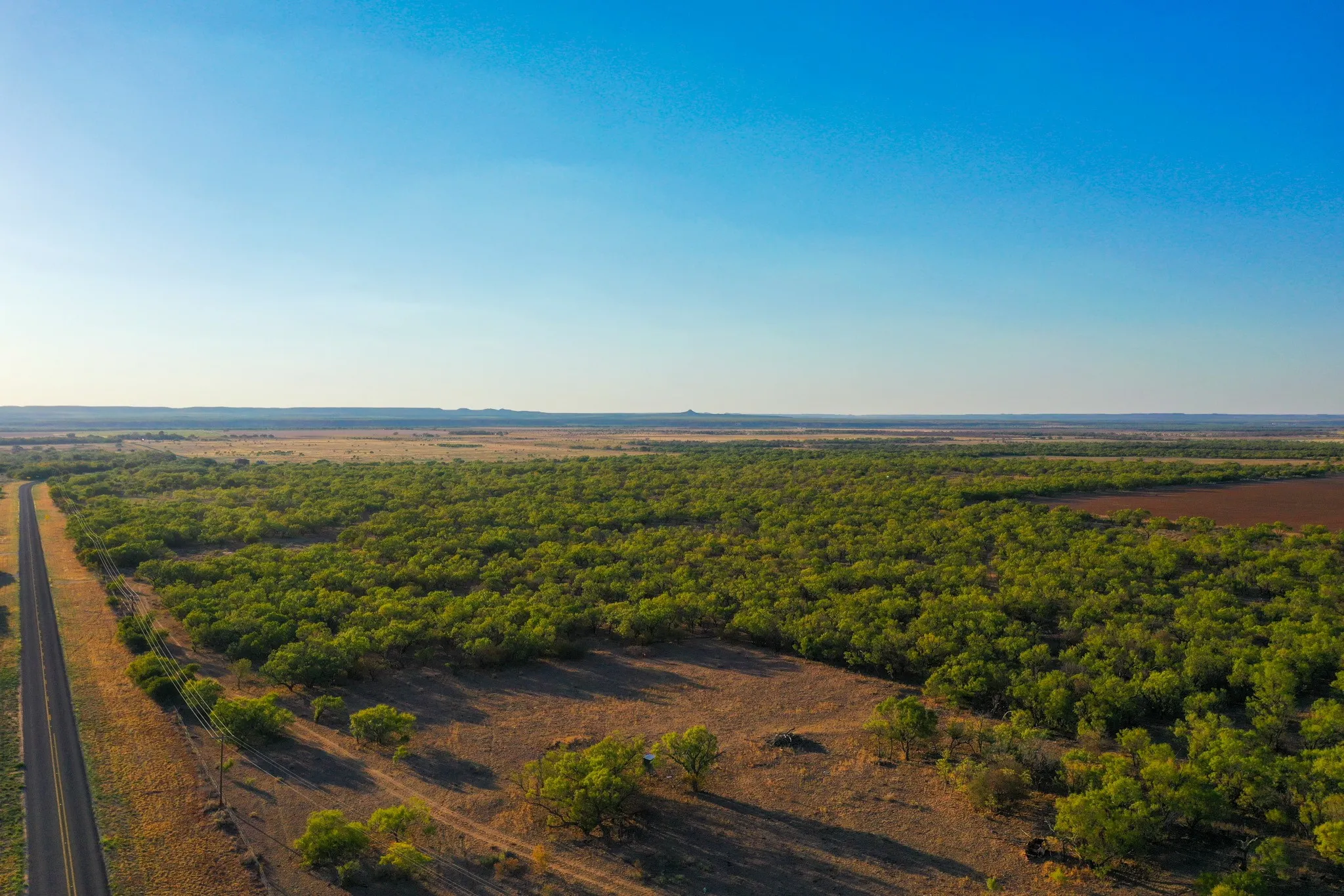 Ranch For Sale in Haskell County , TBD FM 2279, Rochester, Texas 79544, 0, 0, Garage spaces, 0 Sqft, built in 0, mls#21404706, Real Estate Agent in Rochester, Homes For Sale in Haskell county, Homes For Sale in Rochester, Realtor in Rochester Texas, Real Estate Brokerage Independent Realty Texas, Luminita Cordes Realtor