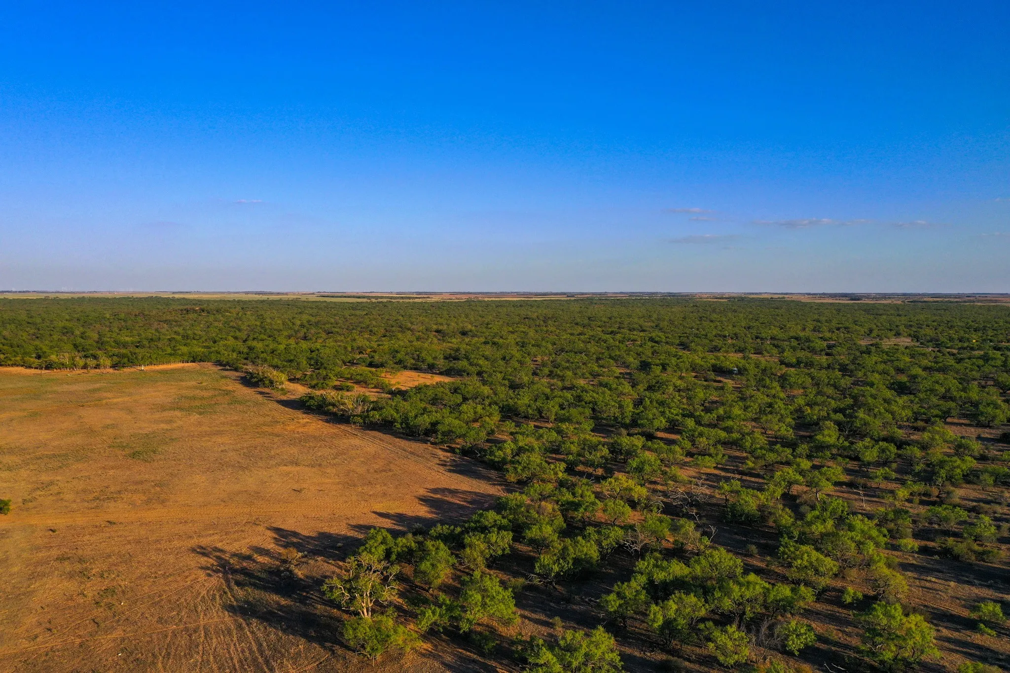 Ranch For Sale in Haskell County , TBD FM 2279, Rochester, Texas 79544, 0, 0, Garage spaces, 0 Sqft, built in 0, mls#21404706, Real Estate Agent in Rochester, Homes For Sale in Haskell county, Homes For Sale in Rochester, Realtor in Rochester Texas, Real Estate Brokerage Independent Realty Texas, Luminita Cordes Realtor