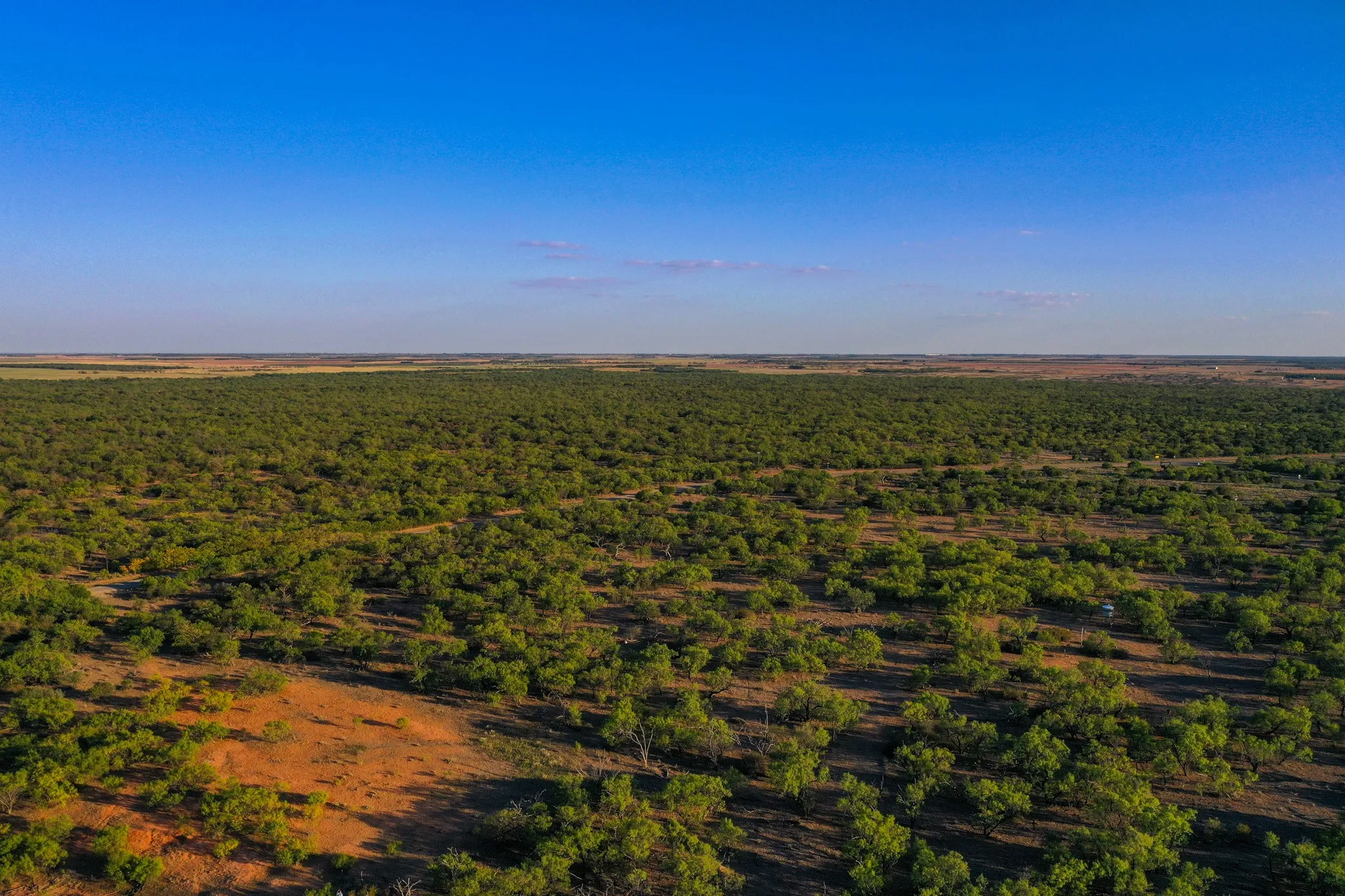 Ranch For Sale in Haskell County , TBD FM 2279, Rochester, Texas 79544, 0, 0, Garage spaces, 0 Sqft, built in 0, mls#21404706, Real Estate Agent in Rochester, Homes For Sale in Haskell county, Homes For Sale in Rochester, Realtor in Rochester Texas, Real Estate Brokerage Independent Realty Texas, Luminita Cordes Realtor
