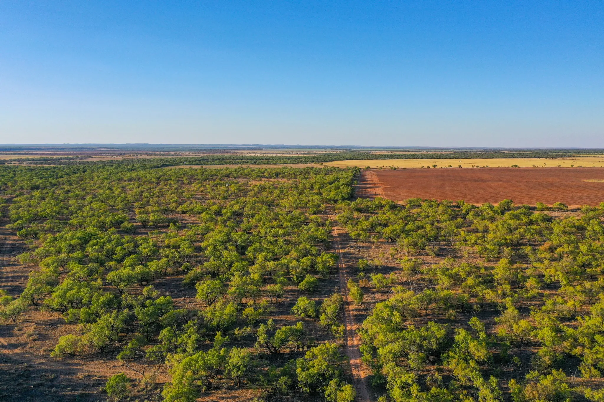 Ranch For Sale in Haskell County , TBD FM 2279, Rochester, Texas 79544, 0, 0, Garage spaces, 0 Sqft, built in 0, mls#21404706, Real Estate Agent in Rochester, Homes For Sale in Haskell county, Homes For Sale in Rochester, Realtor in Rochester Texas, Real Estate Brokerage Independent Realty Texas, Luminita Cordes Realtor