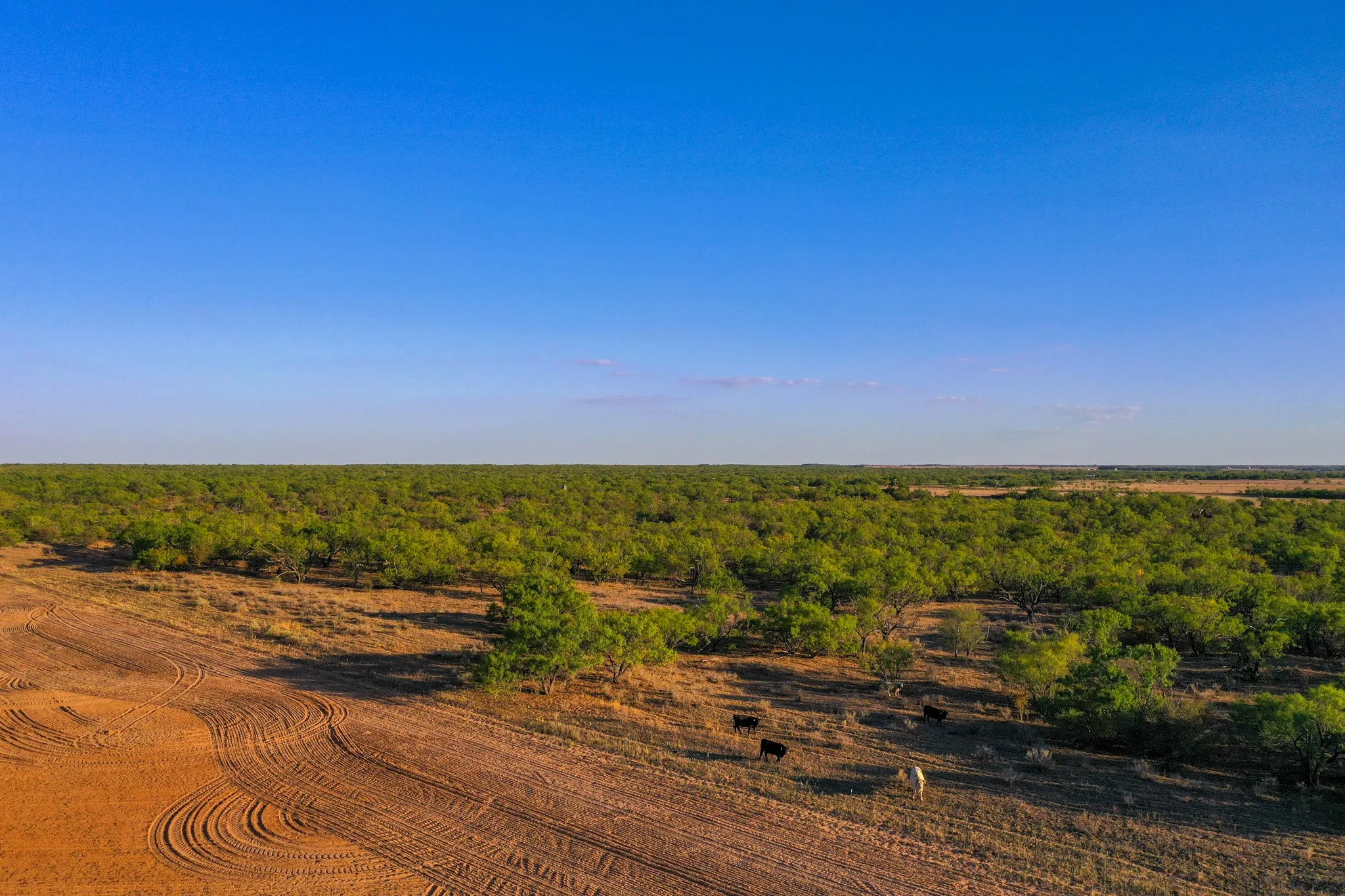 Ranch For Sale in Haskell County , TBD FM 2279, Rochester, Texas 79544, 0, 0, Garage spaces, 0 Sqft, built in 0, mls#21404706, Real Estate Agent in Rochester, Homes For Sale in Haskell county, Homes For Sale in Rochester, Realtor in Rochester Texas, Real Estate Brokerage Independent Realty Texas, Luminita Cordes Realtor