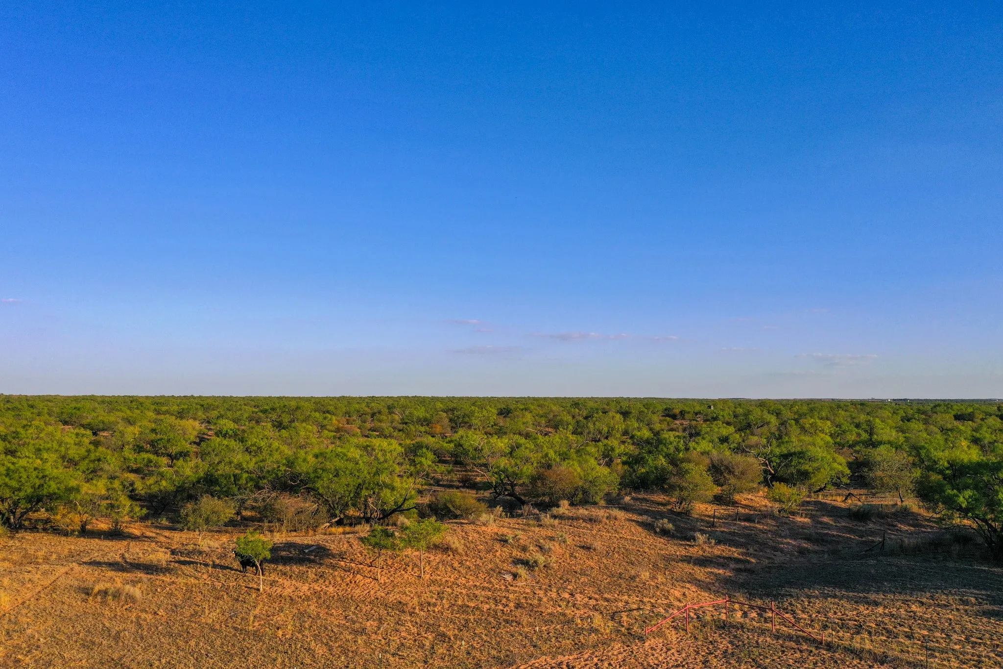 Ranch For Sale in Haskell County , TBD FM 2279, Rochester, Texas 79544, 0, 0, Garage spaces, 0 Sqft, built in 0, mls#21404706, Real Estate Agent in Rochester, Homes For Sale in Haskell county, Homes For Sale in Rochester, Realtor in Rochester Texas, Real Estate Brokerage Independent Realty Texas, Luminita Cordes Realtor