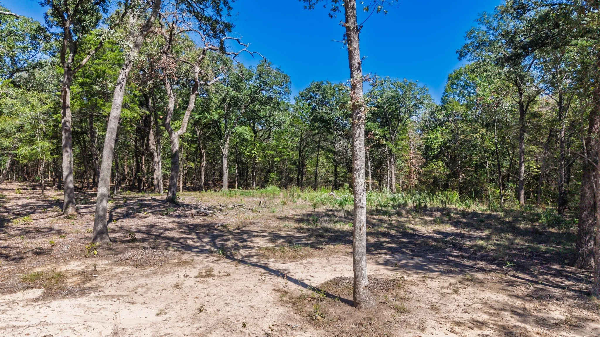 Unimproved Land For Sale in Hunt County , 7280 FM 1567 Creek, Lone Oak, Texas 75453, 0, 0, Garage spaces, 0 Sqft, built in 0, mls#21409583, Real Estate Agent in Lone Oak, Homes For Sale in Hunt county, Homes For Sale in Lone Oak, Realtor in Lone Oak Texas, Real Estate Brokerage Independent Realty Texas, Luminita Cordes Realtor