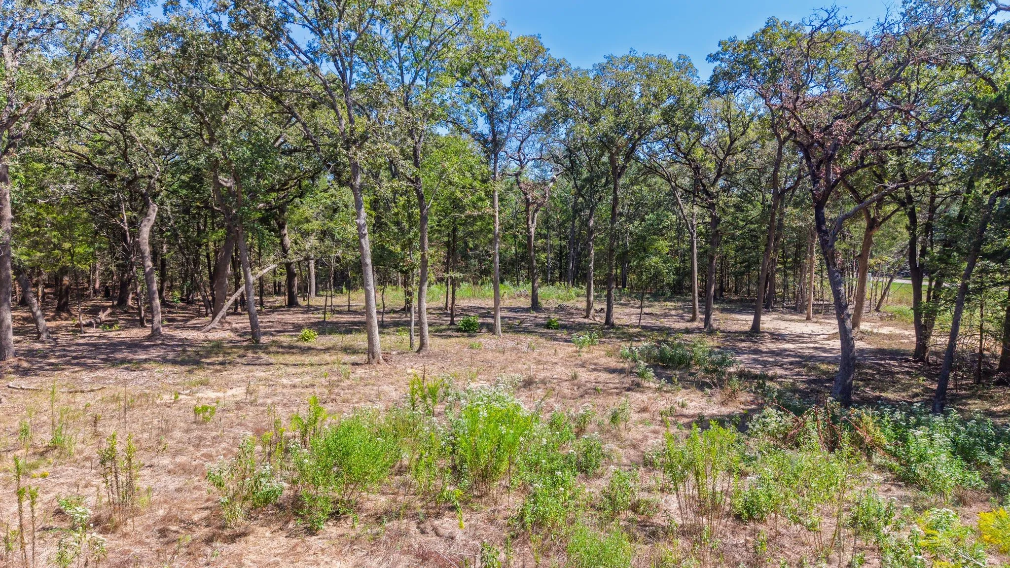 Unimproved Land For Sale in Hunt County , 7280 FM 1567 Creek, Lone Oak, Texas 75453, 0, 0, Garage spaces, 0 Sqft, built in 0, mls#21409583, Real Estate Agent in Lone Oak, Homes For Sale in Hunt county, Homes For Sale in Lone Oak, Realtor in Lone Oak Texas, Real Estate Brokerage Independent Realty Texas, Luminita Cordes Realtor