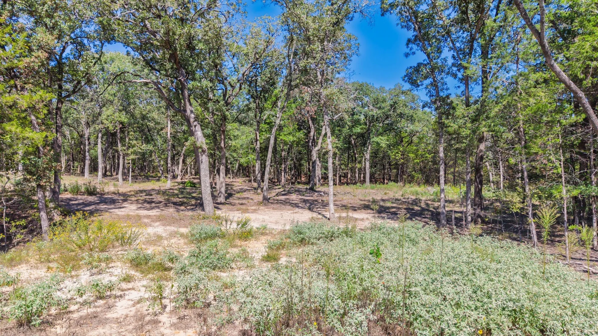 Unimproved Land For Sale in Hunt County , 7280 FM 1567 Creek, Lone Oak, Texas 75453, 0, 0, Garage spaces, 0 Sqft, built in 0, mls#21409583, Real Estate Agent in Lone Oak, Homes For Sale in Hunt county, Homes For Sale in Lone Oak, Realtor in Lone Oak Texas, Real Estate Brokerage Independent Realty Texas, Luminita Cordes Realtor
