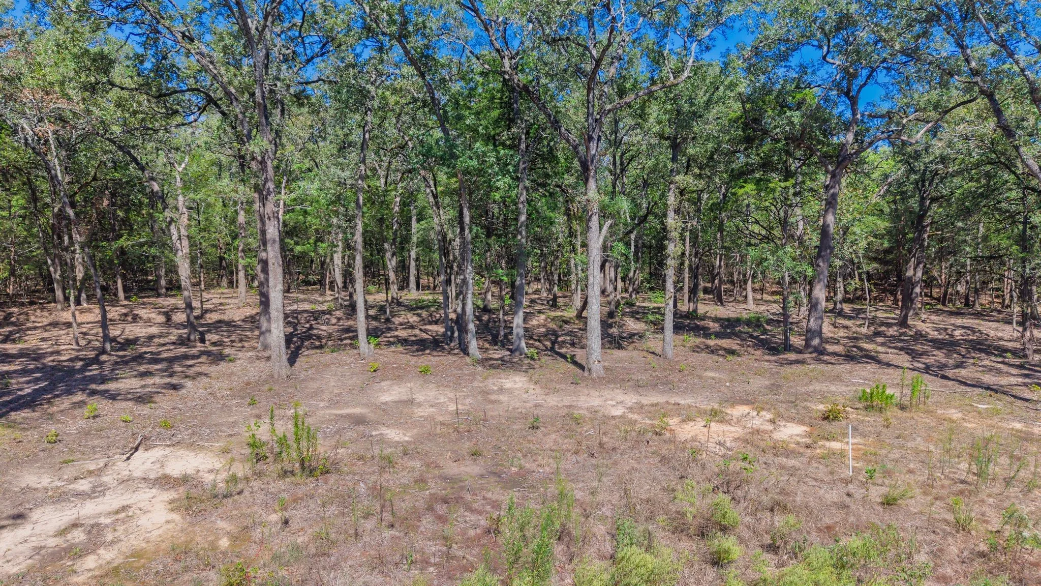 Unimproved Land For Sale in Hunt County , 7280 FM 1567 Creek, Lone Oak, Texas 75453, 0, 0, Garage spaces, 0 Sqft, built in 0, mls#21409583, Real Estate Agent in Lone Oak, Homes For Sale in Hunt county, Homes For Sale in Lone Oak, Realtor in Lone Oak Texas, Real Estate Brokerage Independent Realty Texas, Luminita Cordes Realtor