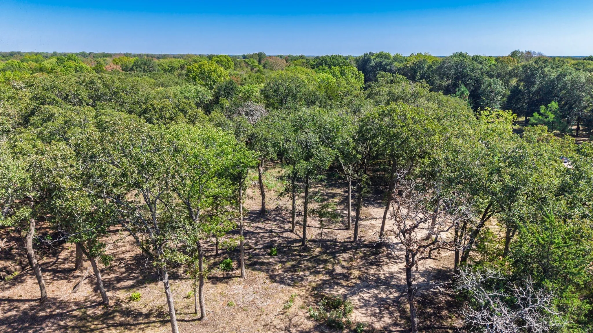 Unimproved Land For Sale in Hunt County , 7280 FM 1567 Creek, Lone Oak, Texas 75453, 0, 0, Garage spaces, 0 Sqft, built in 0, mls#21409583, Real Estate Agent in Lone Oak, Homes For Sale in Hunt county, Homes For Sale in Lone Oak, Realtor in Lone Oak Texas, Real Estate Brokerage Independent Realty Texas, Luminita Cordes Realtor