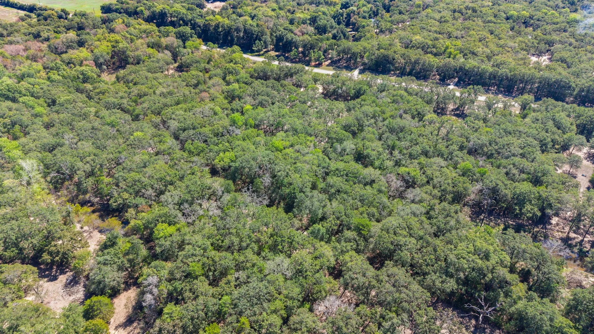 Unimproved Land For Sale in Hunt County , 7280 FM 1567 Creek, Lone Oak, Texas 75453, 0, 0, Garage spaces, 0 Sqft, built in 0, mls#21409583, Real Estate Agent in Lone Oak, Homes For Sale in Hunt county, Homes For Sale in Lone Oak, Realtor in Lone Oak Texas, Real Estate Brokerage Independent Realty Texas, Luminita Cordes Realtor