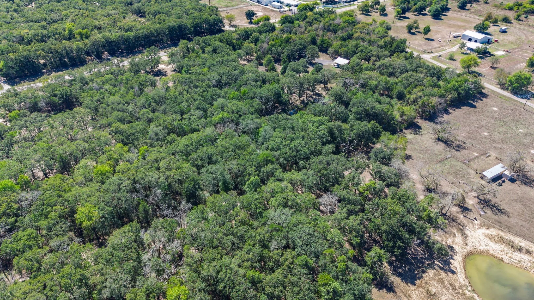 Unimproved Land For Sale in Hunt County , 7280 FM 1567 Creek, Lone Oak, Texas 75453, 0, 0, Garage spaces, 0 Sqft, built in 0, mls#21409583, Real Estate Agent in Lone Oak, Homes For Sale in Hunt county, Homes For Sale in Lone Oak, Realtor in Lone Oak Texas, Real Estate Brokerage Independent Realty Texas, Luminita Cordes Realtor