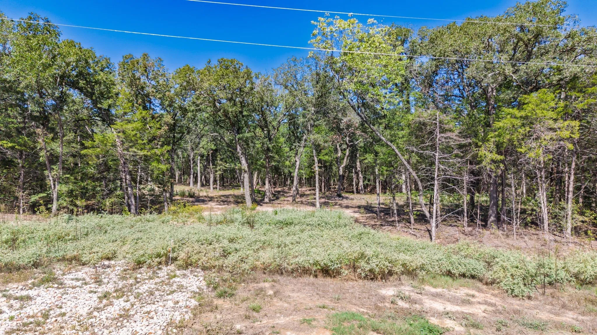 Unimproved Land For Sale in Hunt County , 7280 FM 1567 Creek, Lone Oak, Texas 75453, 0, 0, Garage spaces, 0 Sqft, built in 0, mls#21409583, Real Estate Agent in Lone Oak, Homes For Sale in Hunt county, Homes For Sale in Lone Oak, Realtor in Lone Oak Texas, Real Estate Brokerage Independent Realty Texas, Luminita Cordes Realtor