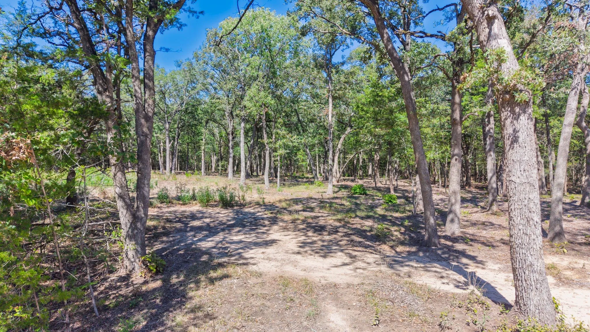 Unimproved Land For Sale in Hunt County , 7280 FM 1567 Creek, Lone Oak, Texas 75453, 0, 0, Garage spaces, 0 Sqft, built in 0, mls#21409583, Real Estate Agent in Lone Oak, Homes For Sale in Hunt county, Homes For Sale in Lone Oak, Realtor in Lone Oak Texas, Real Estate Brokerage Independent Realty Texas, Luminita Cordes Realtor