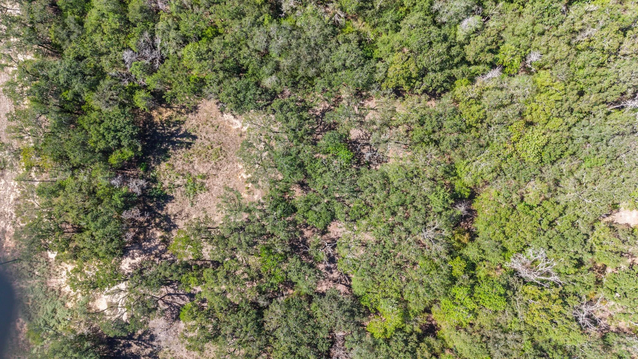 Unimproved Land For Sale in Hunt County , 7280 FM 1567 Creek, Lone Oak, Texas 75453, 0, 0, Garage spaces, 0 Sqft, built in 0, mls#21409583, Real Estate Agent in Lone Oak, Homes For Sale in Hunt county, Homes For Sale in Lone Oak, Realtor in Lone Oak Texas, Real Estate Brokerage Independent Realty Texas, Luminita Cordes Realtor