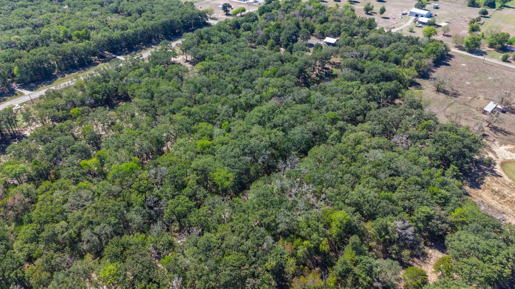 Unimproved Land For Sale in Hunt County , 7280 FM 1567 Creek, Lone Oak, Texas 75453, 0, 0, Garage spaces, 0 Sqft, built in 0, mls#21409583, Real Estate Agent in Lone Oak, Homes For Sale in Hunt county, Homes For Sale in Lone Oak, Realtor in Lone Oak Texas, Real Estate Brokerage Independent Realty Texas, Luminita Cordes Realtor