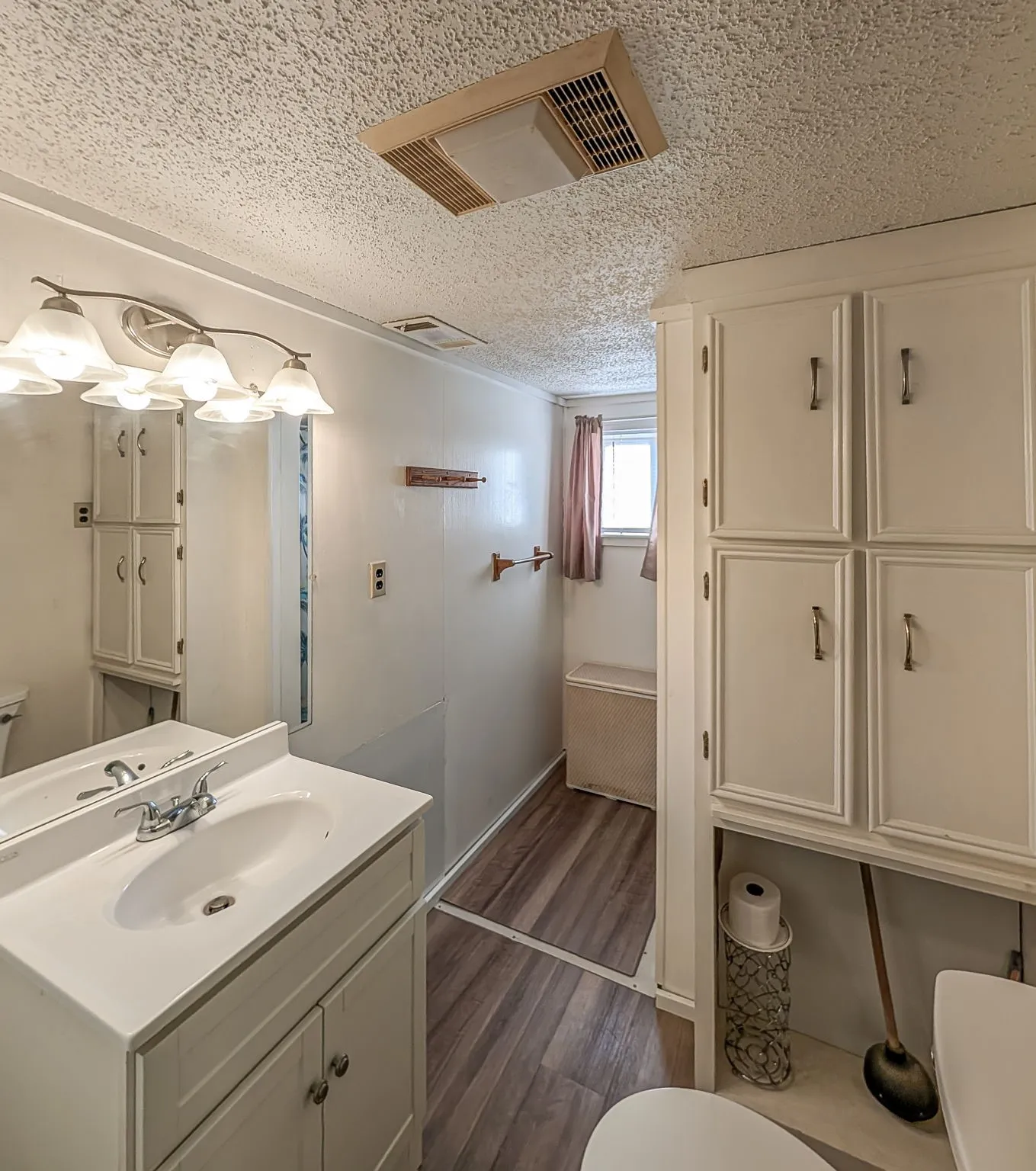 Hall Bath downstairs