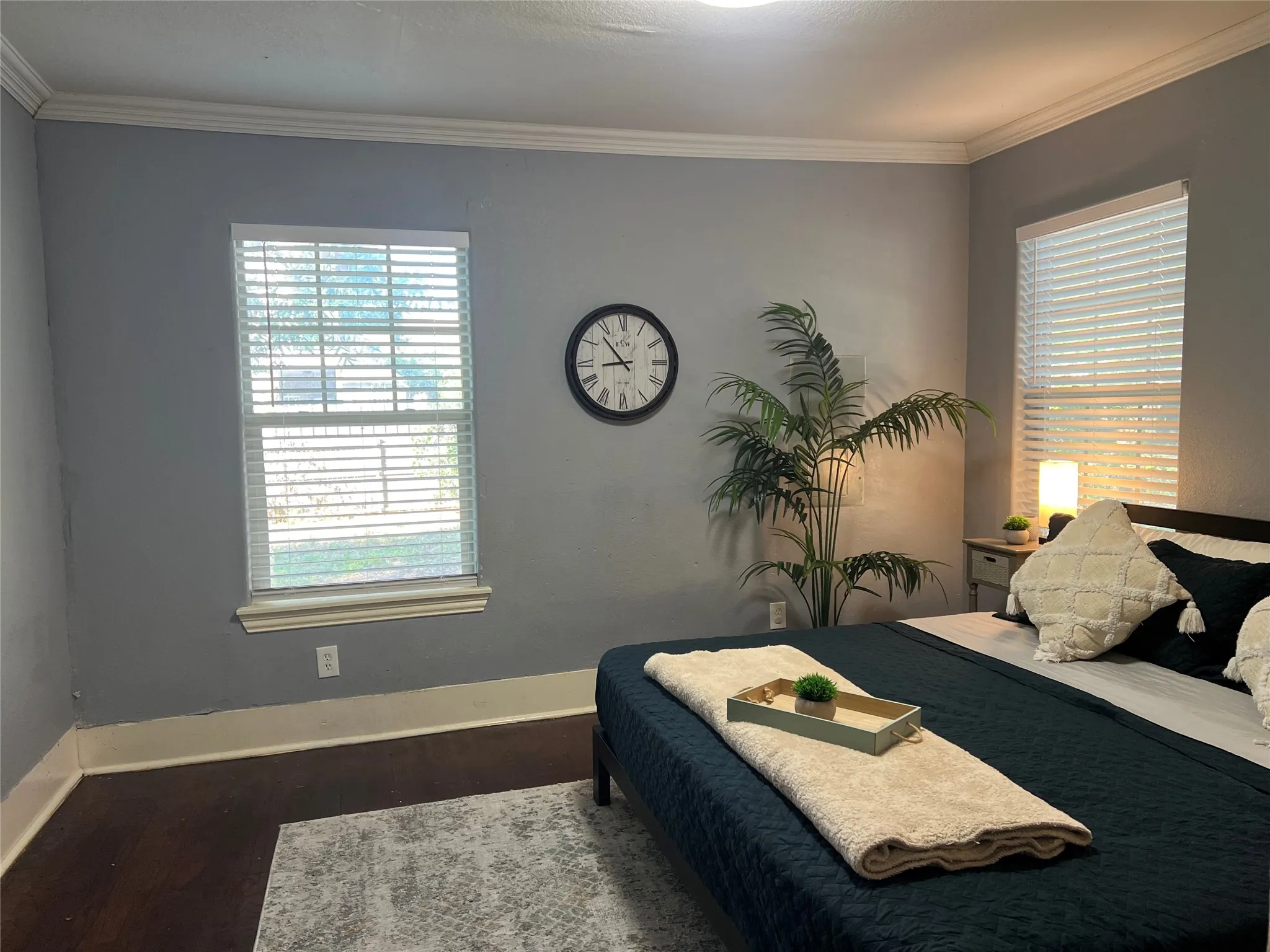 Dark wood-finish flooring with light gray walls, white crown molding, and white window trim