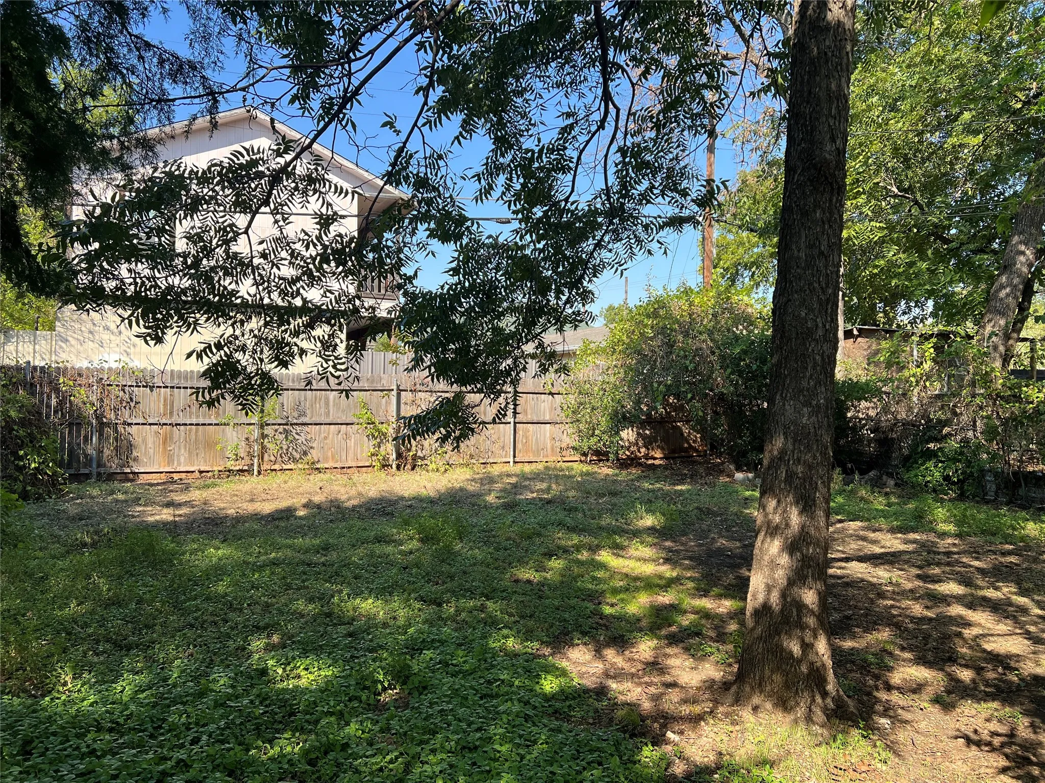 Expansive backyard with a lush ground cover, mature trees, and a durable wood fence