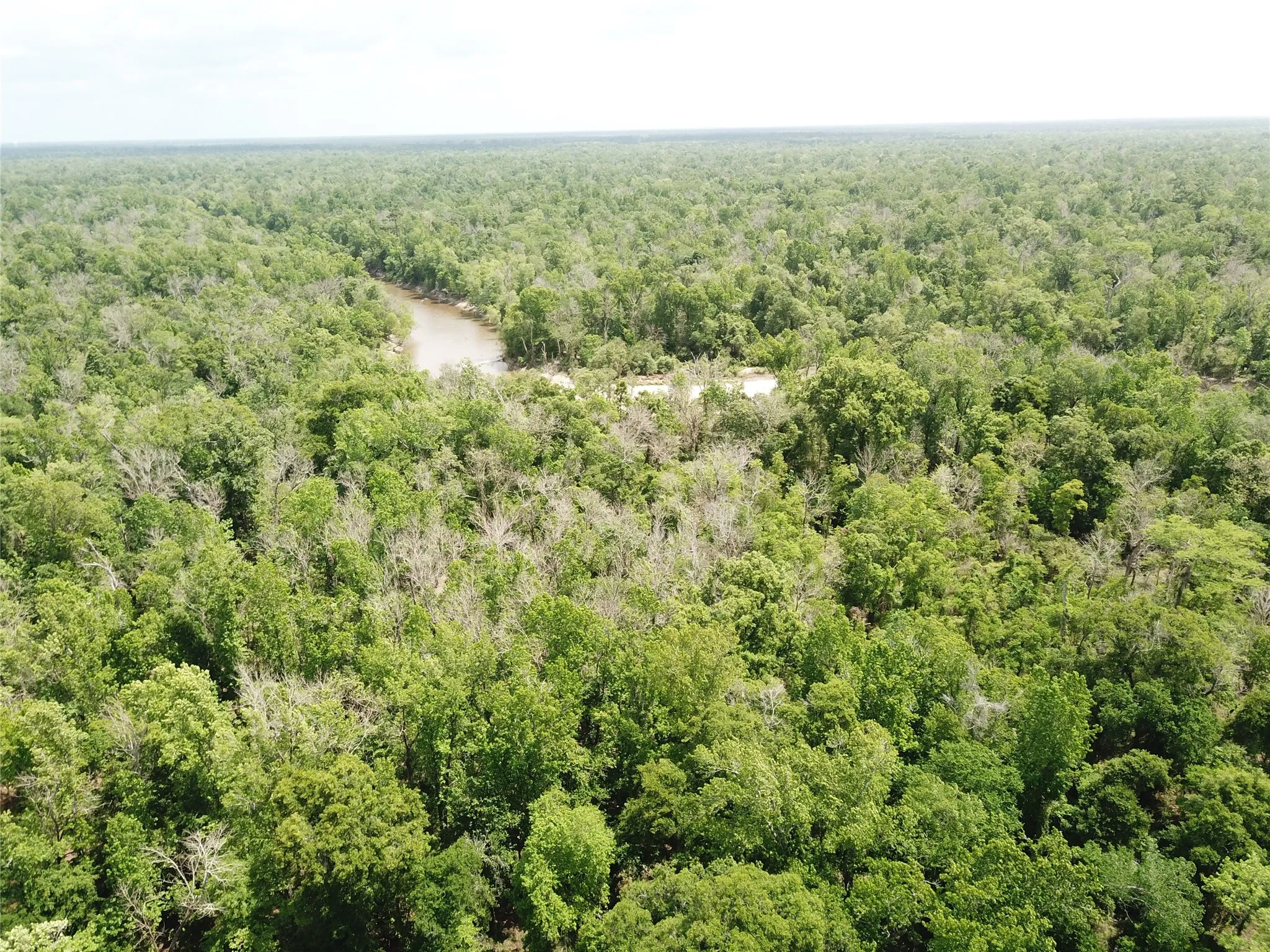 Unimproved Land For Sale in Newton County , 00 Indian Lake Road, Orange, Texas 77614, 0, 0, Garage spaces, 0 Sqft, built in 0, mls#21409646, Real Estate Agent in Orange, Homes For Sale in Newton county, Homes For Sale in Orange, Realtor in Orange Texas, Real Estate Brokerage Independent Realty Texas, Luminita Cordes Realtor