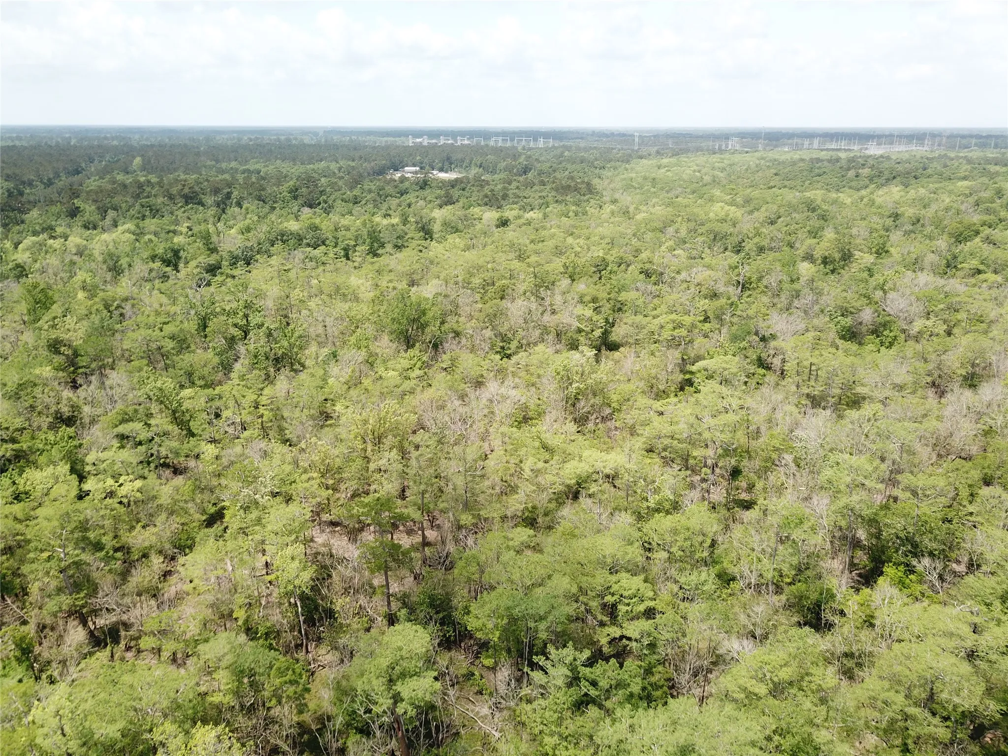 Unimproved Land For Sale in Newton County , 00 Indian Lake Road, Orange, Texas 77614, 0, 0, Garage spaces, 0 Sqft, built in 0, mls#21409646, Real Estate Agent in Orange, Homes For Sale in Newton county, Homes For Sale in Orange, Realtor in Orange Texas, Real Estate Brokerage Independent Realty Texas, Luminita Cordes Realtor