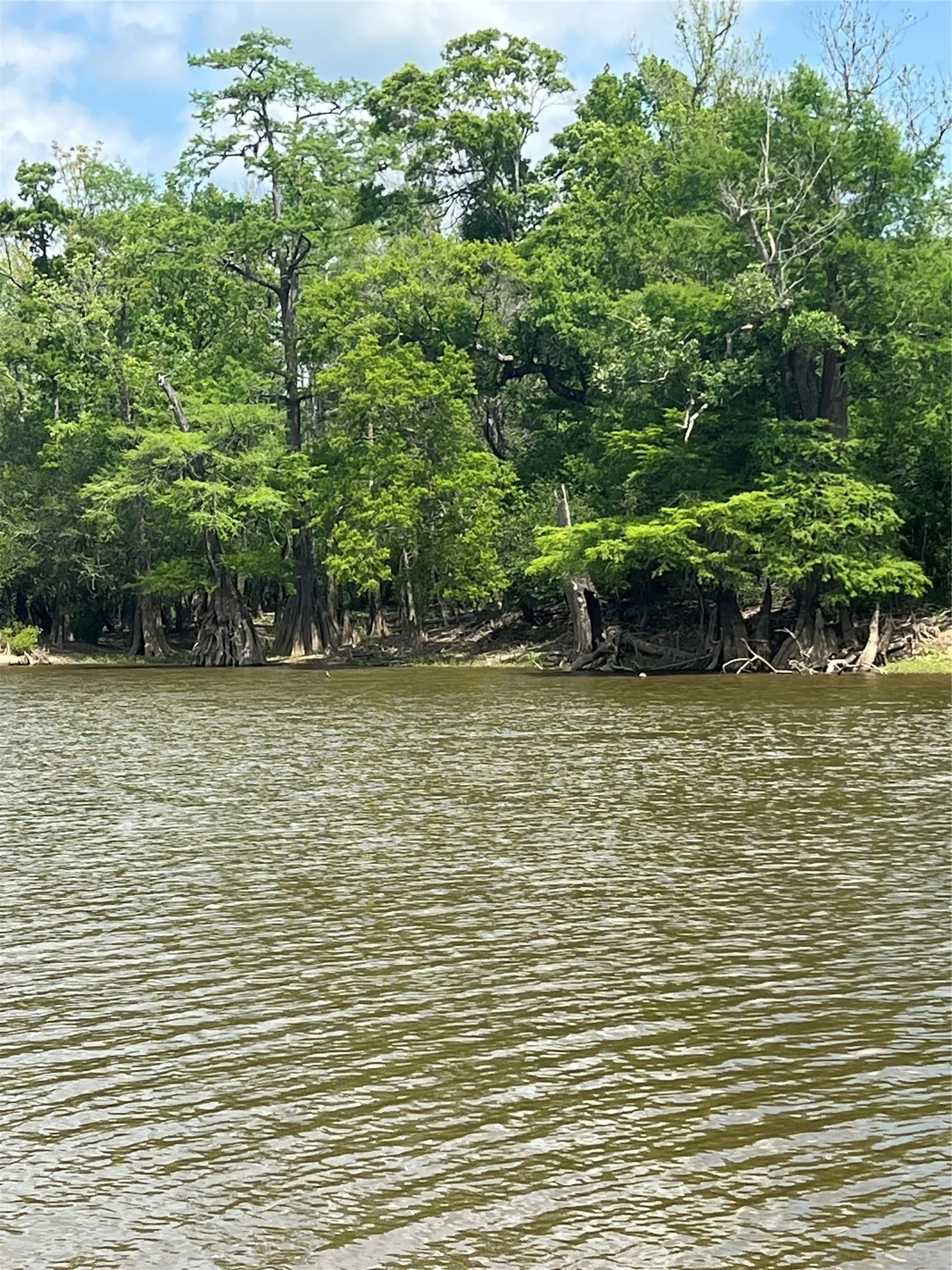 Unimproved Land For Sale in Newton County , 00 Indian Lake Road, Orange, Texas 77614, 0, 0, Garage spaces, 0 Sqft, built in 0, mls#21409646, Real Estate Agent in Orange, Homes For Sale in Newton county, Homes For Sale in Orange, Realtor in Orange Texas, Real Estate Brokerage Independent Realty Texas, Luminita Cordes Realtor