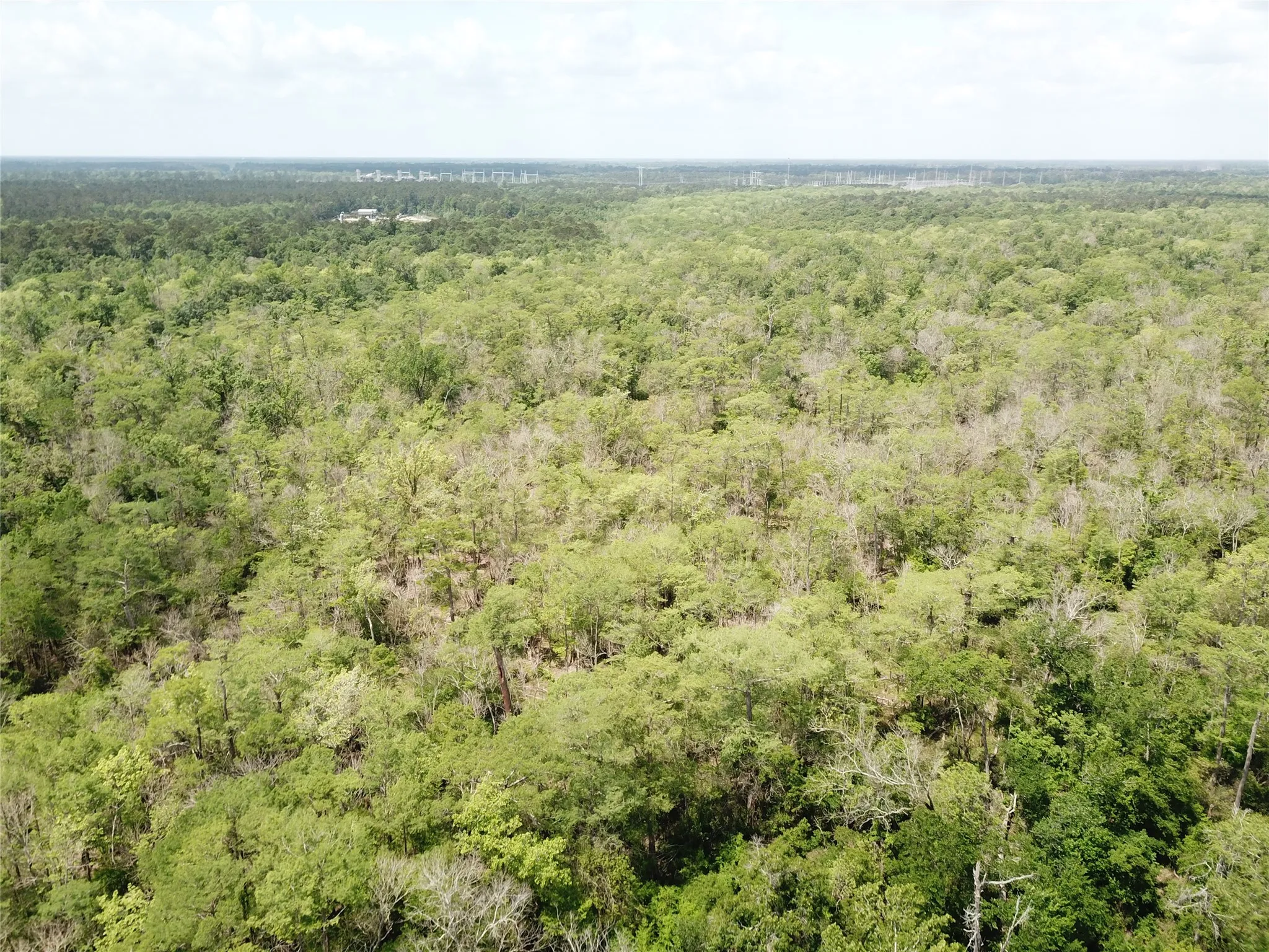 Unimproved Land For Sale in Newton County , 00 Indian Lake Road, Orange, Texas 77614, 0, 0, Garage spaces, 0 Sqft, built in 0, mls#21409646, Real Estate Agent in Orange, Homes For Sale in Newton county, Homes For Sale in Orange, Realtor in Orange Texas, Real Estate Brokerage Independent Realty Texas, Luminita Cordes Realtor