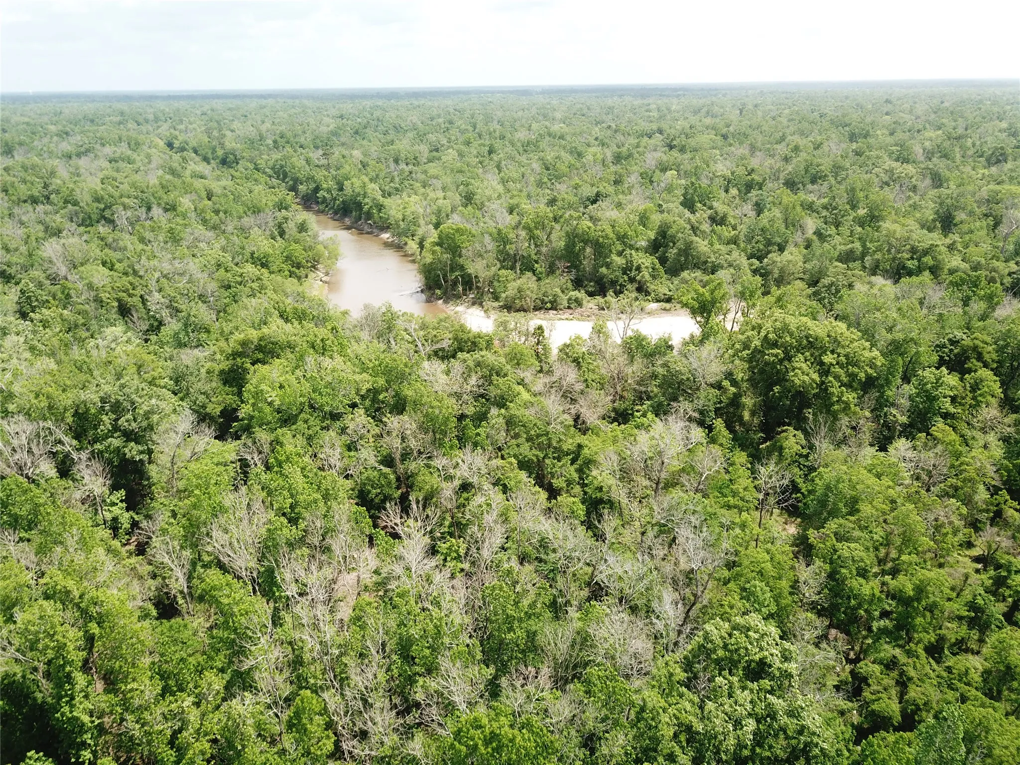 Unimproved Land For Sale in Newton County , 00 Indian Lake Road, Orange, Texas 77614, 0, 0, Garage spaces, 0 Sqft, built in 0, mls#21409646, Real Estate Agent in Orange, Homes For Sale in Newton county, Homes For Sale in Orange, Realtor in Orange Texas, Real Estate Brokerage Independent Realty Texas, Luminita Cordes Realtor