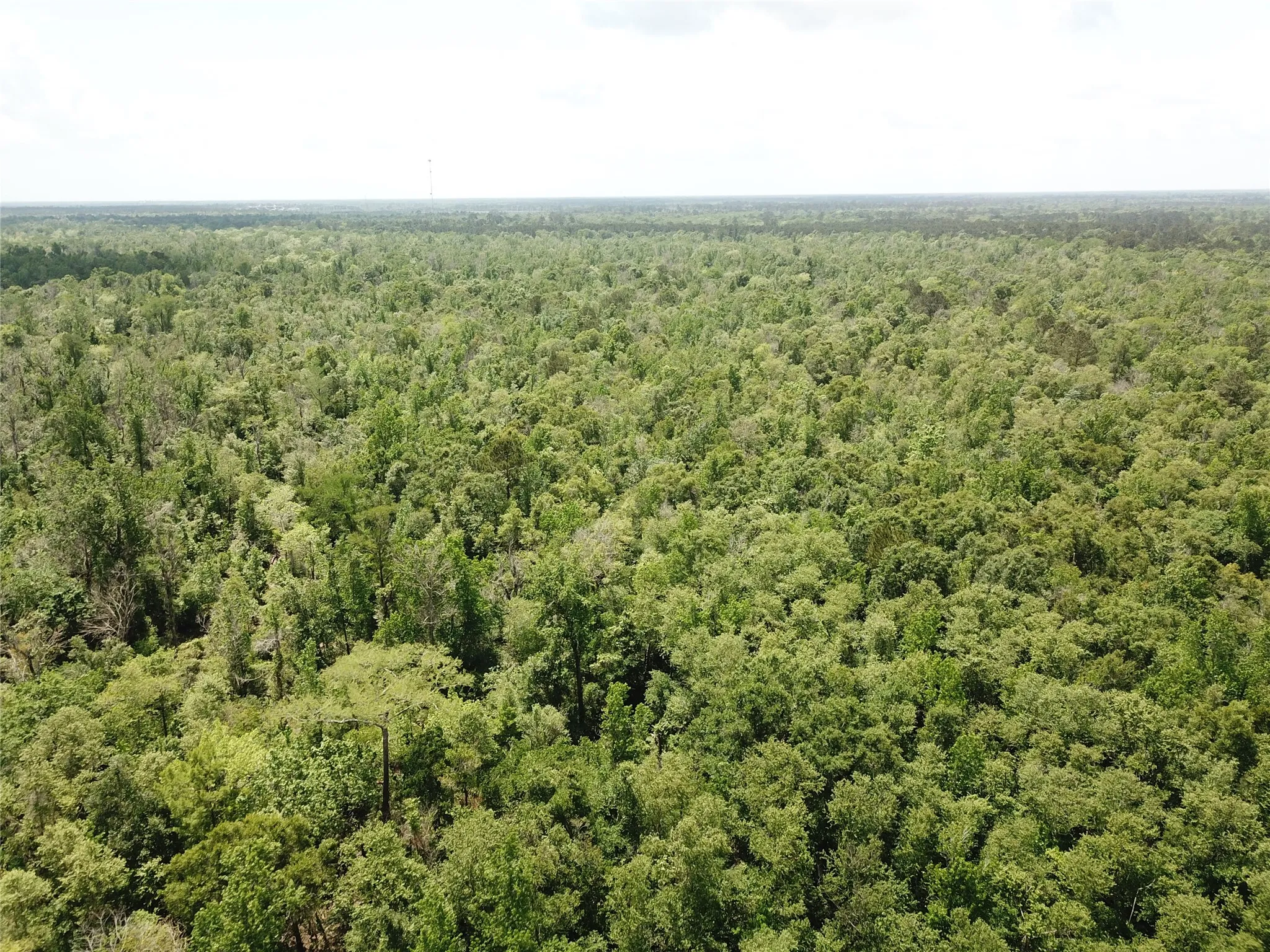 Unimproved Land For Sale in Newton County , 00 Indian Lake Road, Orange, Texas 77614, 0, 0, Garage spaces, 0 Sqft, built in 0, mls#21409646, Real Estate Agent in Orange, Homes For Sale in Newton county, Homes For Sale in Orange, Realtor in Orange Texas, Real Estate Brokerage Independent Realty Texas, Luminita Cordes Realtor
