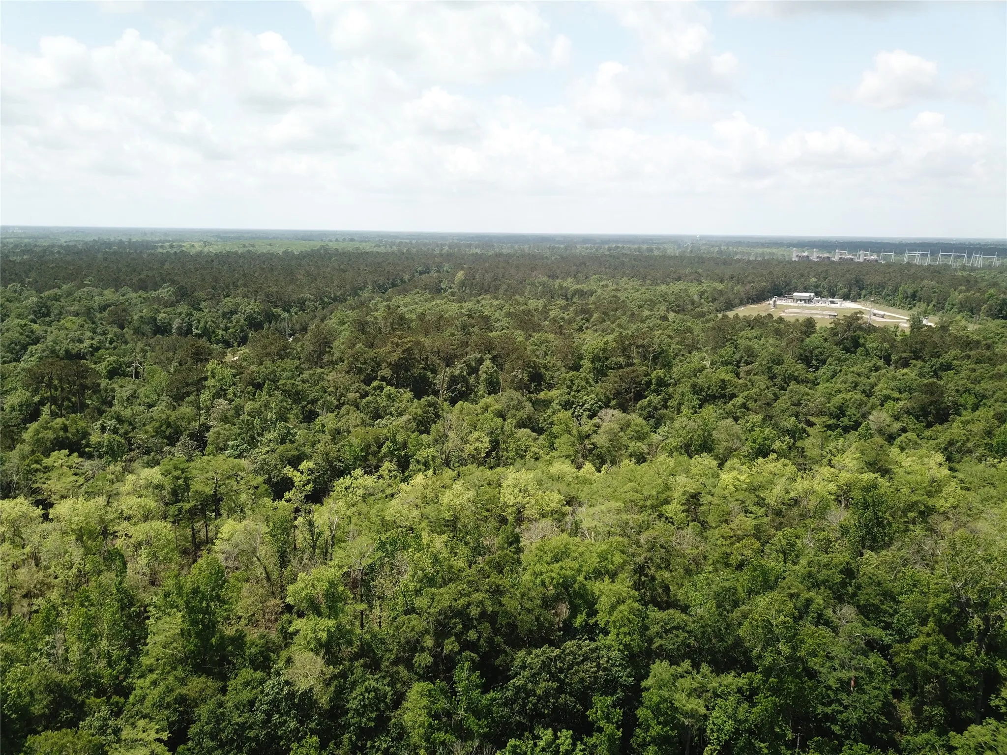 Unimproved Land For Sale in Newton County , 00 Indian Lake Road, Orange, Texas 77614, 0, 0, Garage spaces, 0 Sqft, built in 0, mls#21409646, Real Estate Agent in Orange, Homes For Sale in Newton county, Homes For Sale in Orange, Realtor in Orange Texas, Real Estate Brokerage Independent Realty Texas, Luminita Cordes Realtor