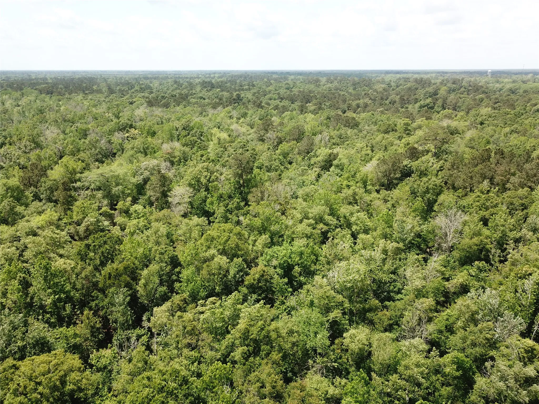 Unimproved Land For Sale in Newton County , 00 Indian Lake Road, Orange, Texas 77614, 0, 0, Garage spaces, 0 Sqft, built in 0, mls#21409646, Real Estate Agent in Orange, Homes For Sale in Newton county, Homes For Sale in Orange, Realtor in Orange Texas, Real Estate Brokerage Independent Realty Texas, Luminita Cordes Realtor