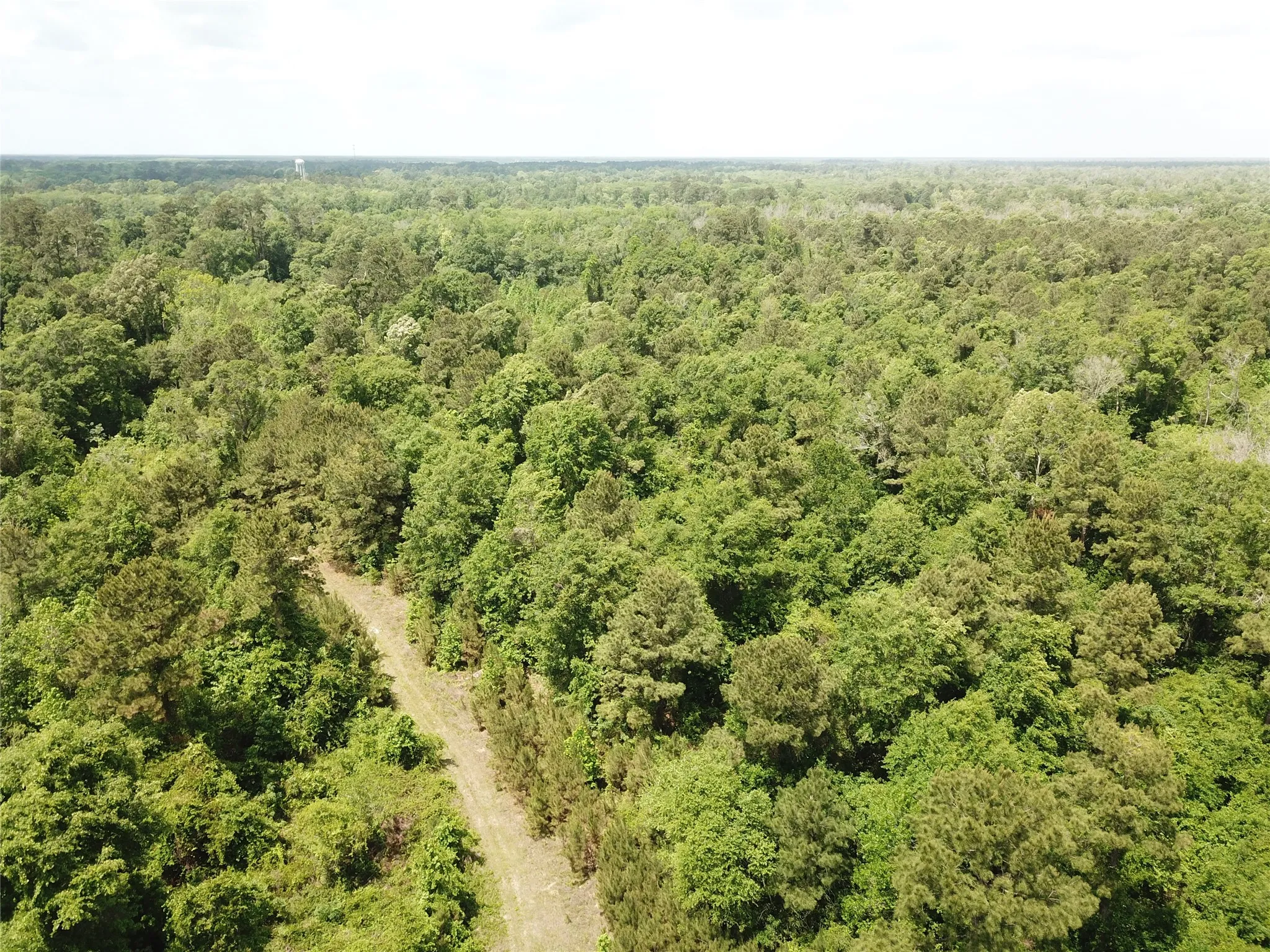 Unimproved Land For Sale in Newton County , 00 Indian Lake Road, Orange, Texas 77614, 0, 0, Garage spaces, 0 Sqft, built in 0, mls#21409646, Real Estate Agent in Orange, Homes For Sale in Newton county, Homes For Sale in Orange, Realtor in Orange Texas, Real Estate Brokerage Independent Realty Texas, Luminita Cordes Realtor