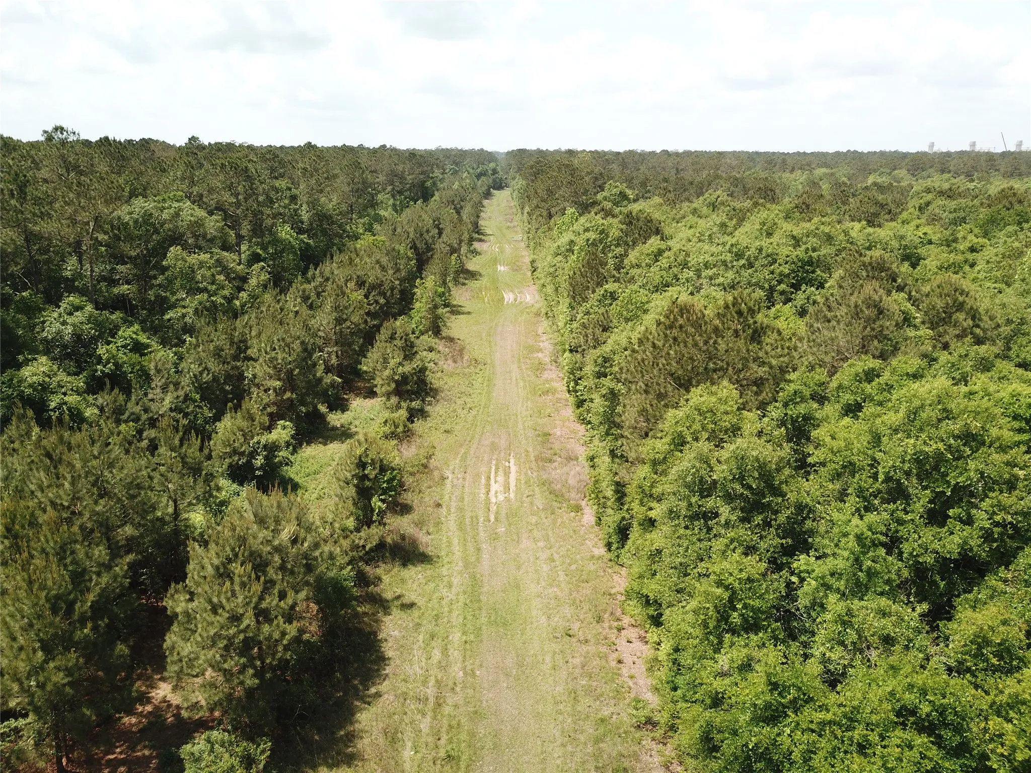 Unimproved Land For Sale in Newton County , 00 Indian Lake Road, Orange, Texas 77614, 0, 0, Garage spaces, 0 Sqft, built in 0, mls#21409646, Real Estate Agent in Orange, Homes For Sale in Newton county, Homes For Sale in Orange, Realtor in Orange Texas, Real Estate Brokerage Independent Realty Texas, Luminita Cordes Realtor