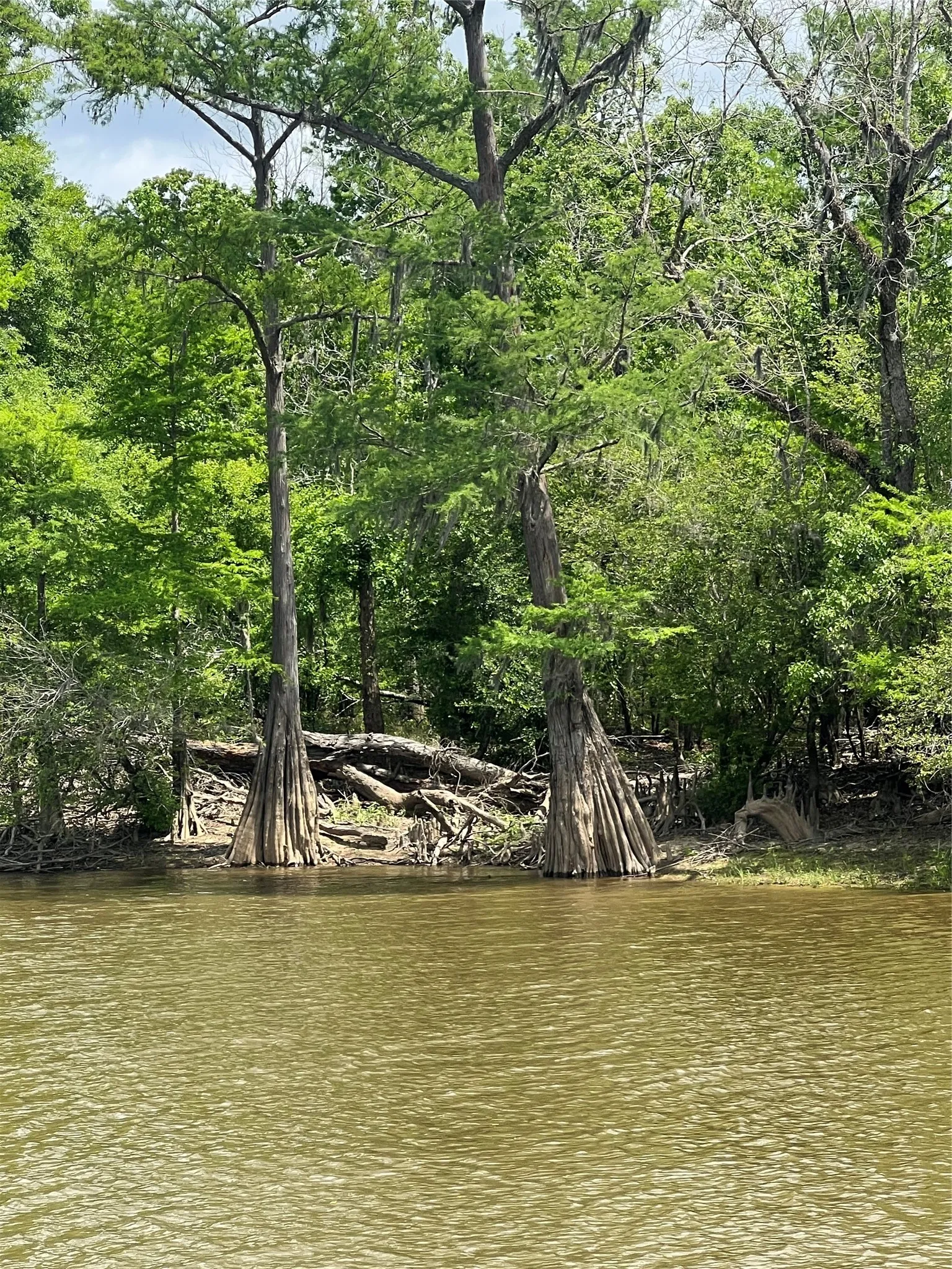 Unimproved Land For Sale in Newton County , 00 Indian Lake Road, Orange, Texas 77614, 0, 0, Garage spaces, 0 Sqft, built in 0, mls#21409646, Real Estate Agent in Orange, Homes For Sale in Newton county, Homes For Sale in Orange, Realtor in Orange Texas, Real Estate Brokerage Independent Realty Texas, Luminita Cordes Realtor