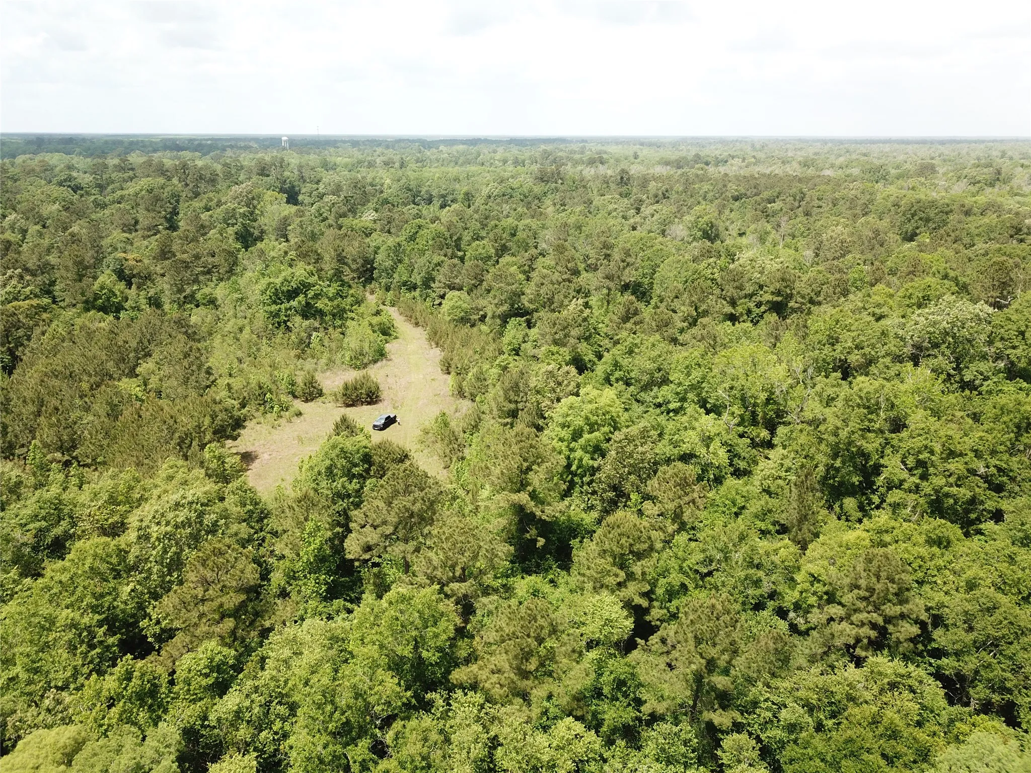 Unimproved Land For Sale in Newton County , 00 Indian Lake Road, Orange, Texas 77614, 0, 0, Garage spaces, 0 Sqft, built in 0, mls#21409646, Real Estate Agent in Orange, Homes For Sale in Newton county, Homes For Sale in Orange, Realtor in Orange Texas, Real Estate Brokerage Independent Realty Texas, Luminita Cordes Realtor