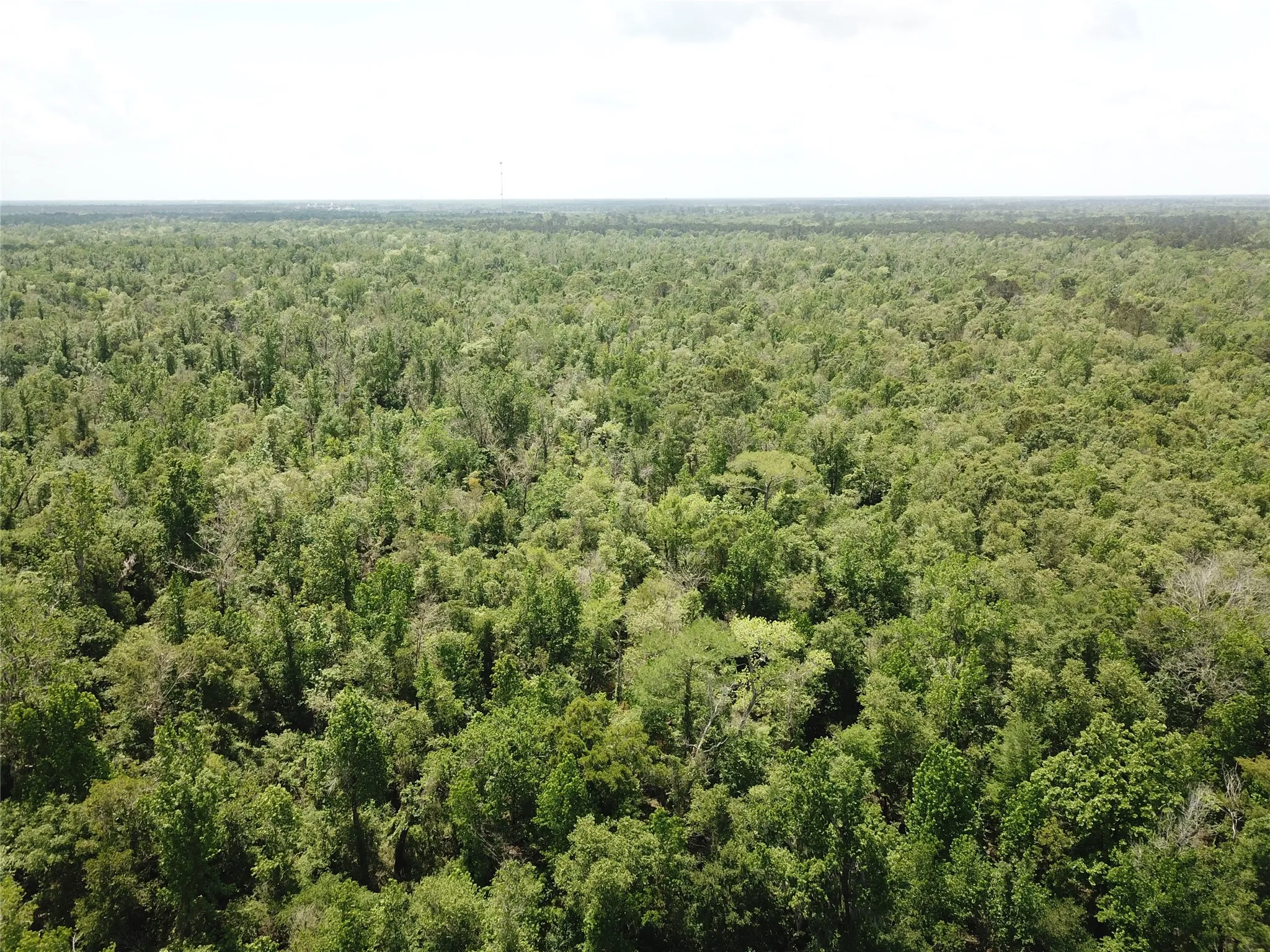 Unimproved Land For Sale in Newton County , 00 Indian Lake Road, Orange, Texas 77614, 0, 0, Garage spaces, 0 Sqft, built in 0, mls#21409646, Real Estate Agent in Orange, Homes For Sale in Newton county, Homes For Sale in Orange, Realtor in Orange Texas, Real Estate Brokerage Independent Realty Texas, Luminita Cordes Realtor
