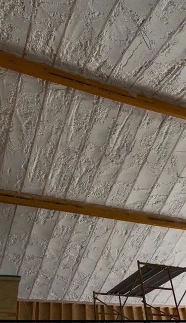 Foam insulation