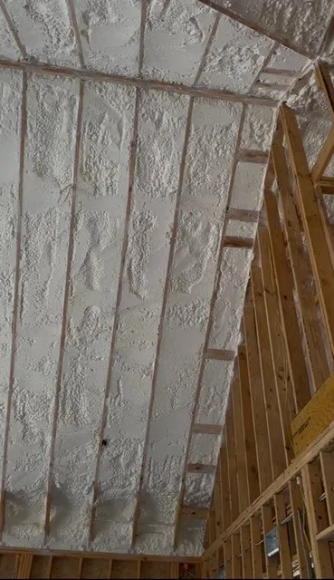 Foam insulation