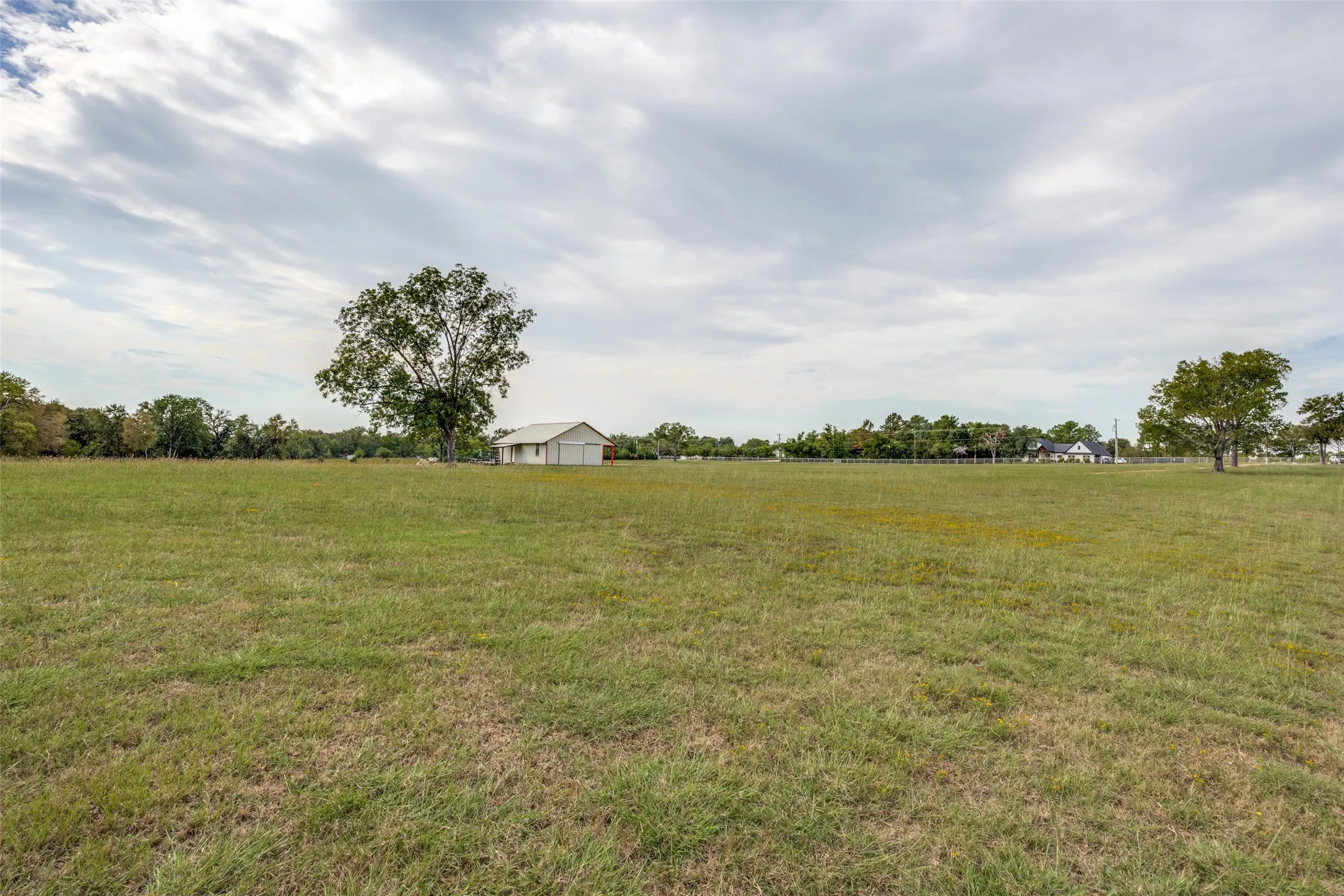 Expansive green space with distant building and mature trees