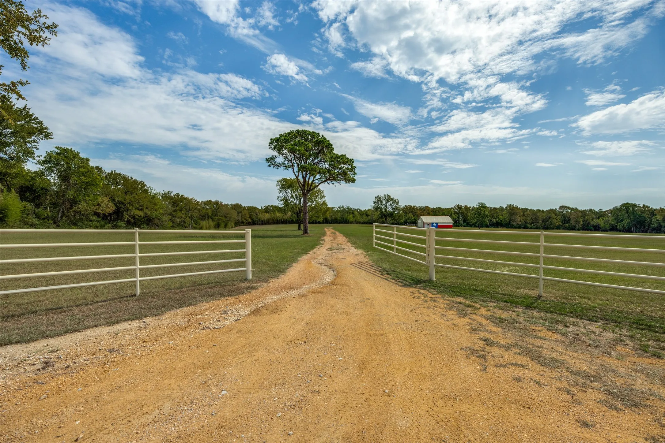 Expansive acreage featuring a private drive, white metal fencing, a distant outbuilding, and mature trees
