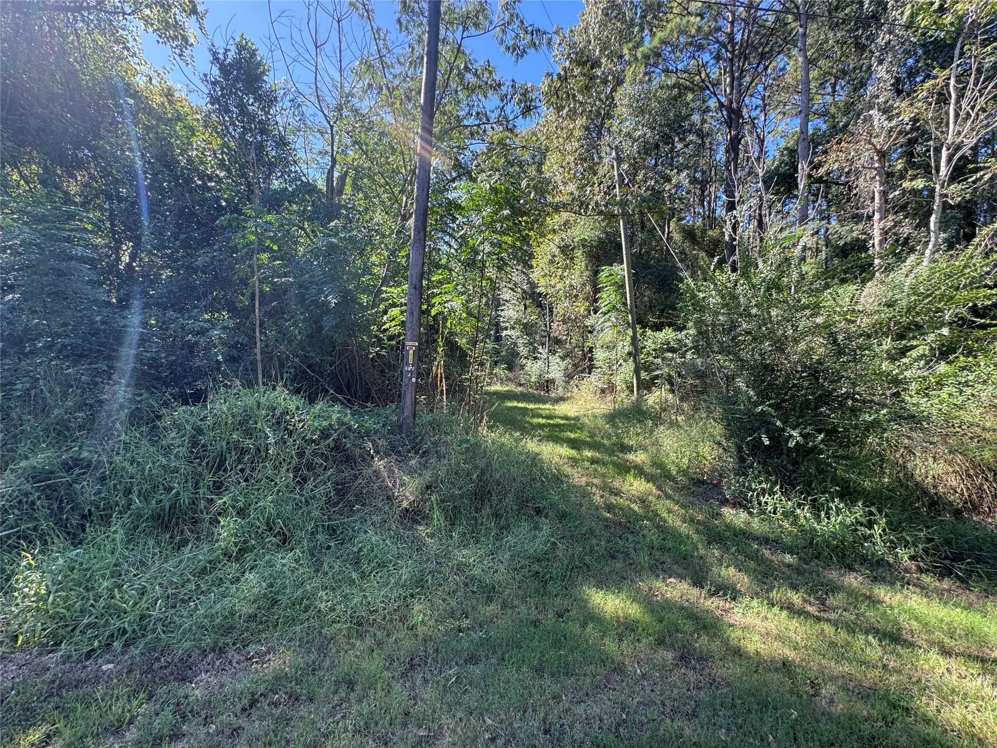 Unimproved Land For Sale in Henderson County , 8289 ST HWY 155, Frankston, Texas 75763, 0, 0, Garage spaces, 0 Sqft, built in 0, mls#21409697, Real Estate Agent in Frankston, Homes For Sale in Henderson county, Homes For Sale in Frankston, Realtor in Frankston Texas, Real Estate Brokerage Independent Realty Texas, Luminita Cordes Realtor