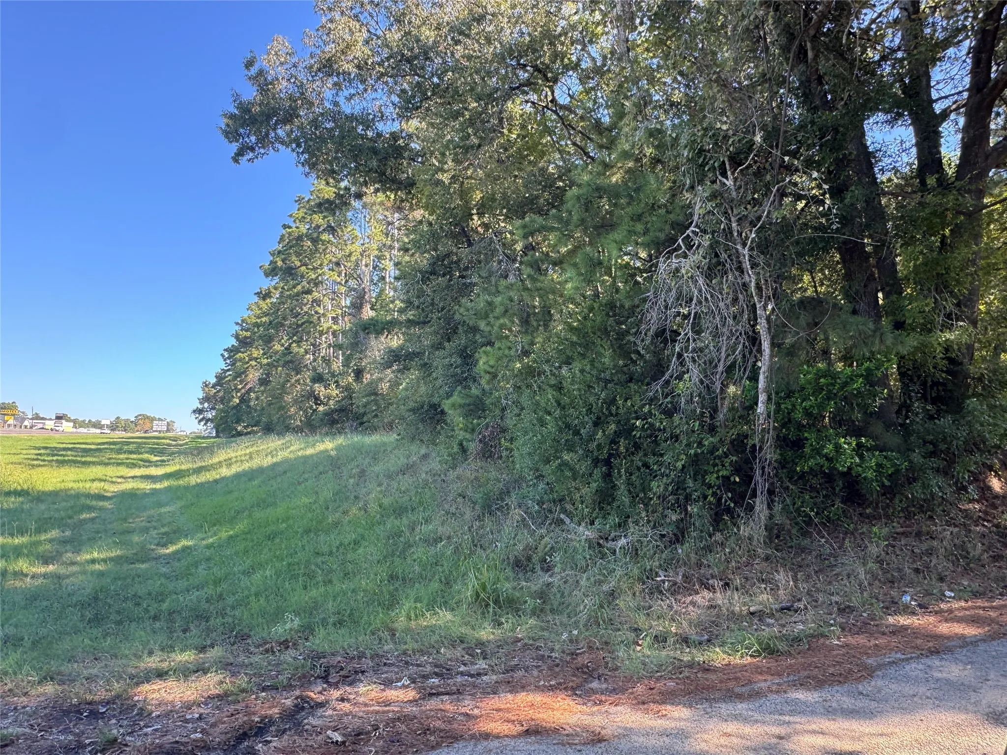 Unimproved Land For Sale in Henderson County , 8289 ST HWY 155, Frankston, Texas 75763, 0, 0, Garage spaces, 0 Sqft, built in 0, mls#21409697, Real Estate Agent in Frankston, Homes For Sale in Henderson county, Homes For Sale in Frankston, Realtor in Frankston Texas, Real Estate Brokerage Independent Realty Texas, Luminita Cordes Realtor