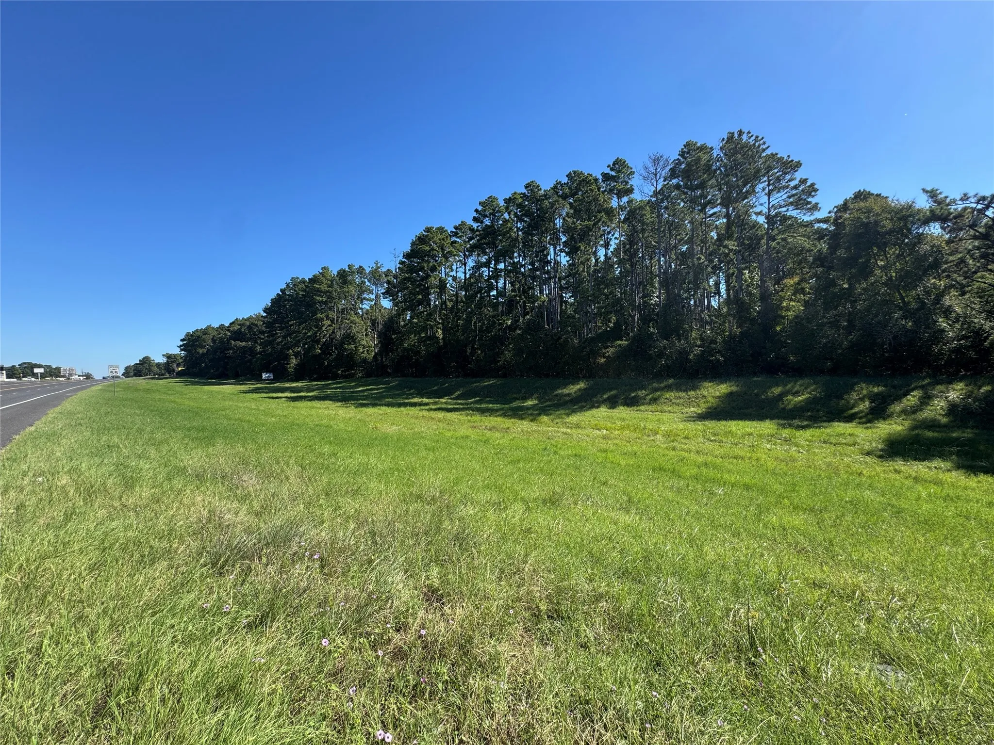 Unimproved Land For Sale in Henderson County , 8289 ST HWY 155, Frankston, Texas 75763, 0, 0, Garage spaces, 0 Sqft, built in 0, mls#21409697, Real Estate Agent in Frankston, Homes For Sale in Henderson county, Homes For Sale in Frankston, Realtor in Frankston Texas, Real Estate Brokerage Independent Realty Texas, Luminita Cordes Realtor