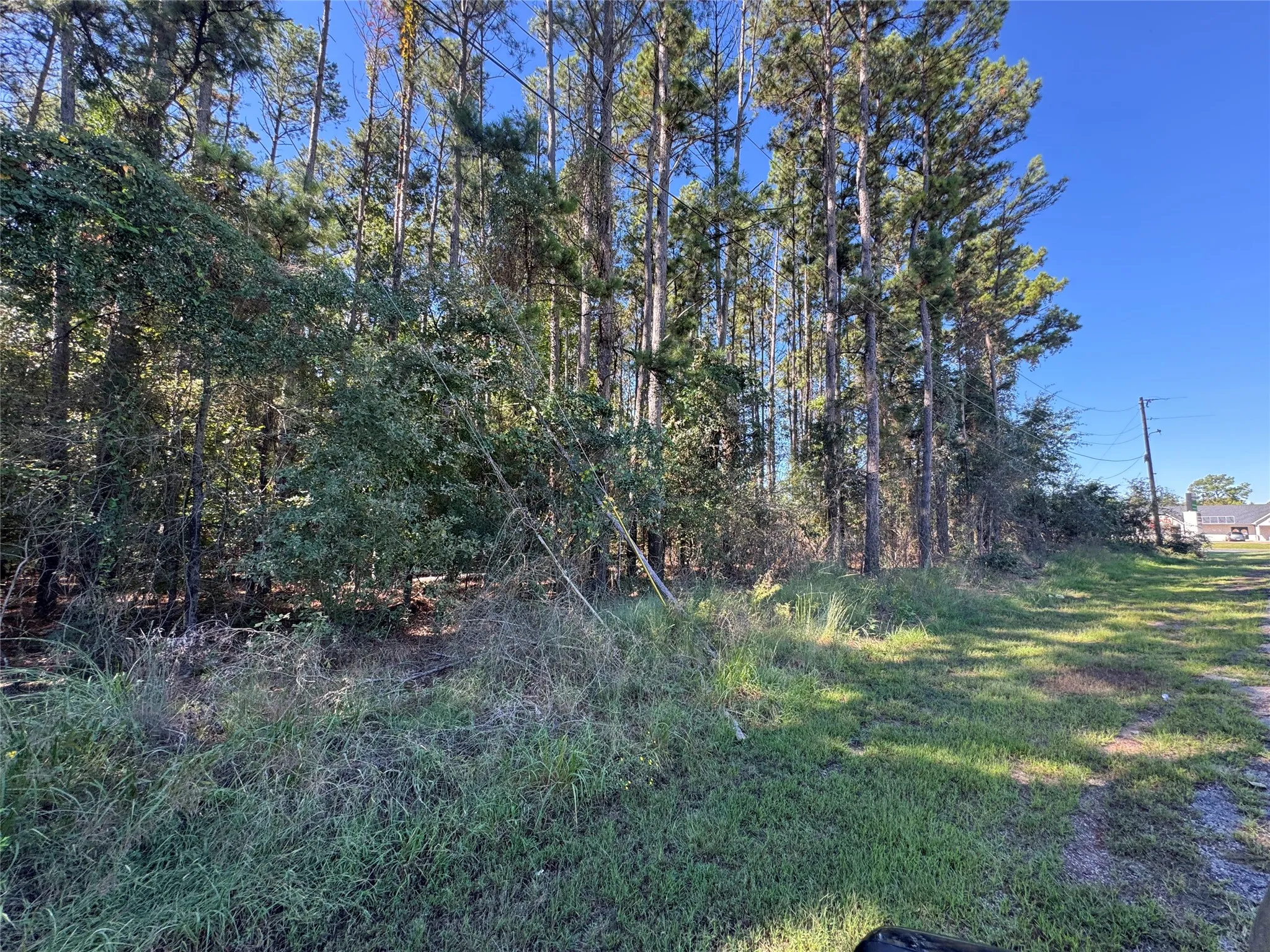Unimproved Land For Sale in Henderson County , 8289 ST HWY 155, Frankston, Texas 75763, 0, 0, Garage spaces, 0 Sqft, built in 0, mls#21409697, Real Estate Agent in Frankston, Homes For Sale in Henderson county, Homes For Sale in Frankston, Realtor in Frankston Texas, Real Estate Brokerage Independent Realty Texas, Luminita Cordes Realtor