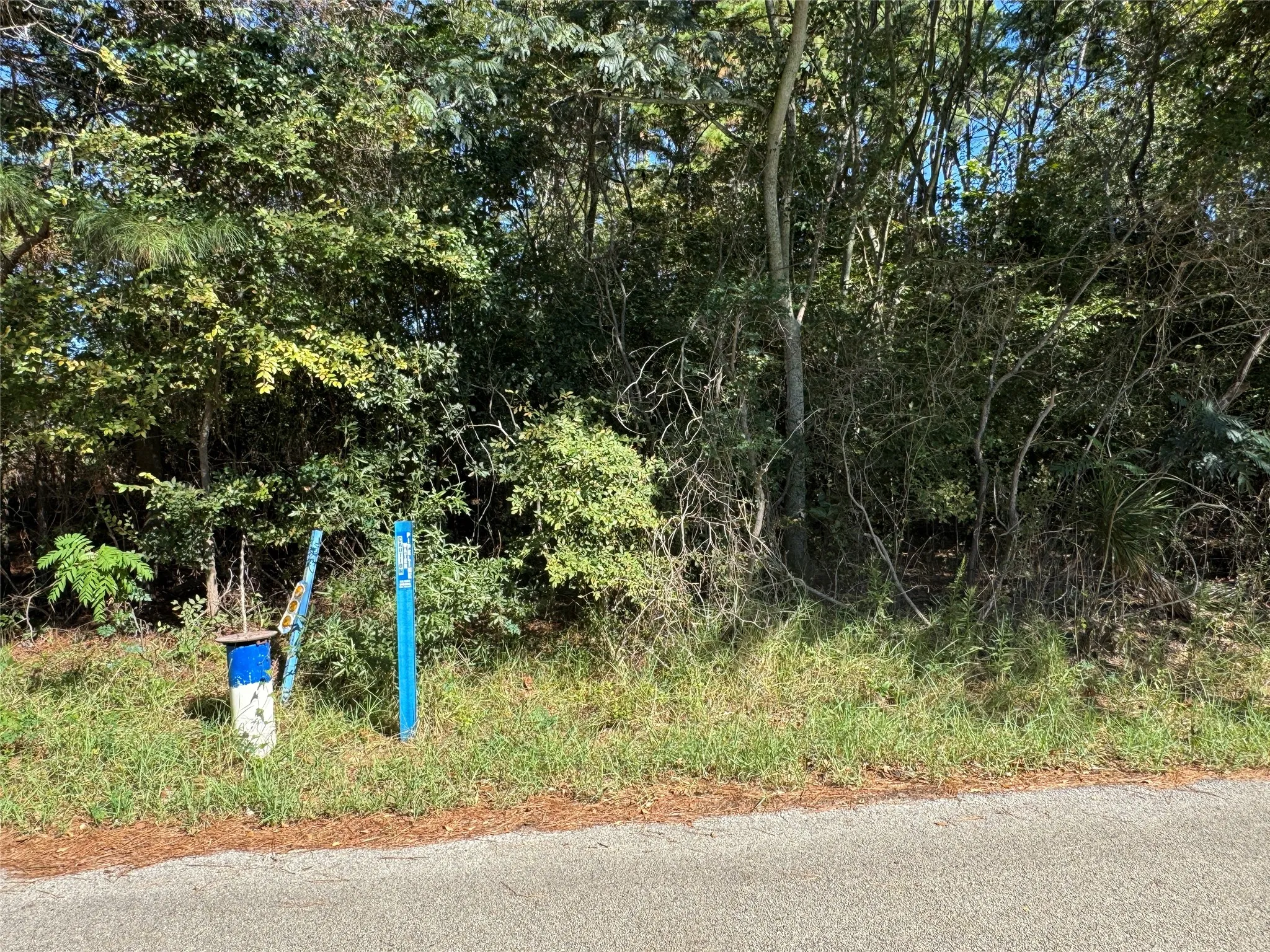 Unimproved Land For Sale in Henderson County , 8289 ST HWY 155, Frankston, Texas 75763, 0, 0, Garage spaces, 0 Sqft, built in 0, mls#21409697, Real Estate Agent in Frankston, Homes For Sale in Henderson county, Homes For Sale in Frankston, Realtor in Frankston Texas, Real Estate Brokerage Independent Realty Texas, Luminita Cordes Realtor